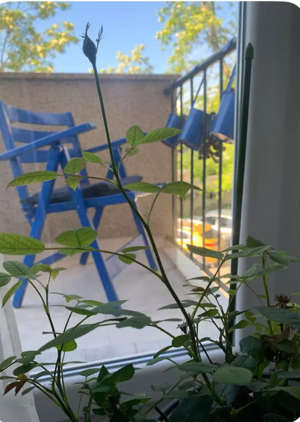 Balcony/Terrace in City apartment Blue Vibes