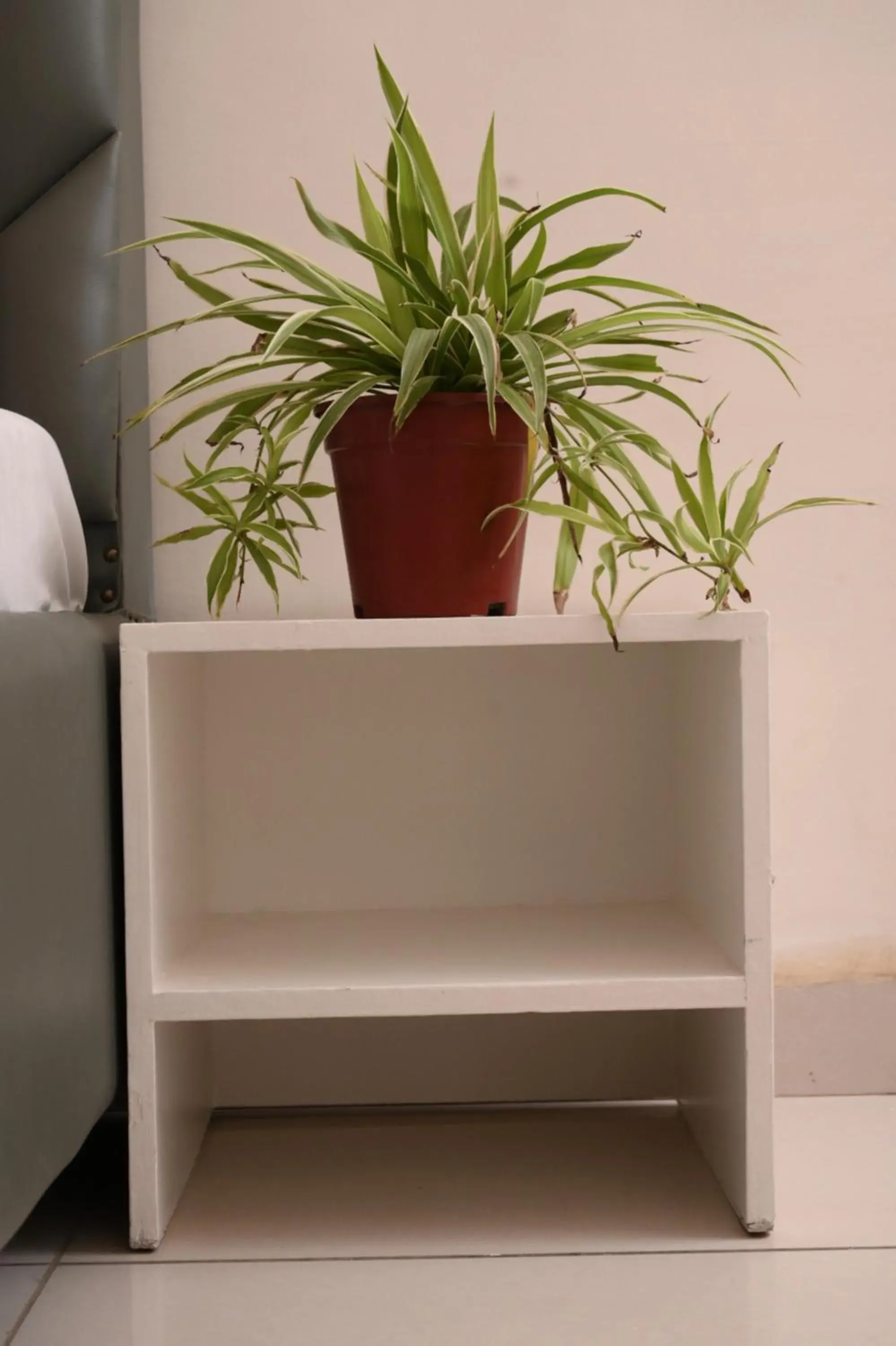 View (from property/room) in PATIALA INN View (from property/room) in PATIALA INN