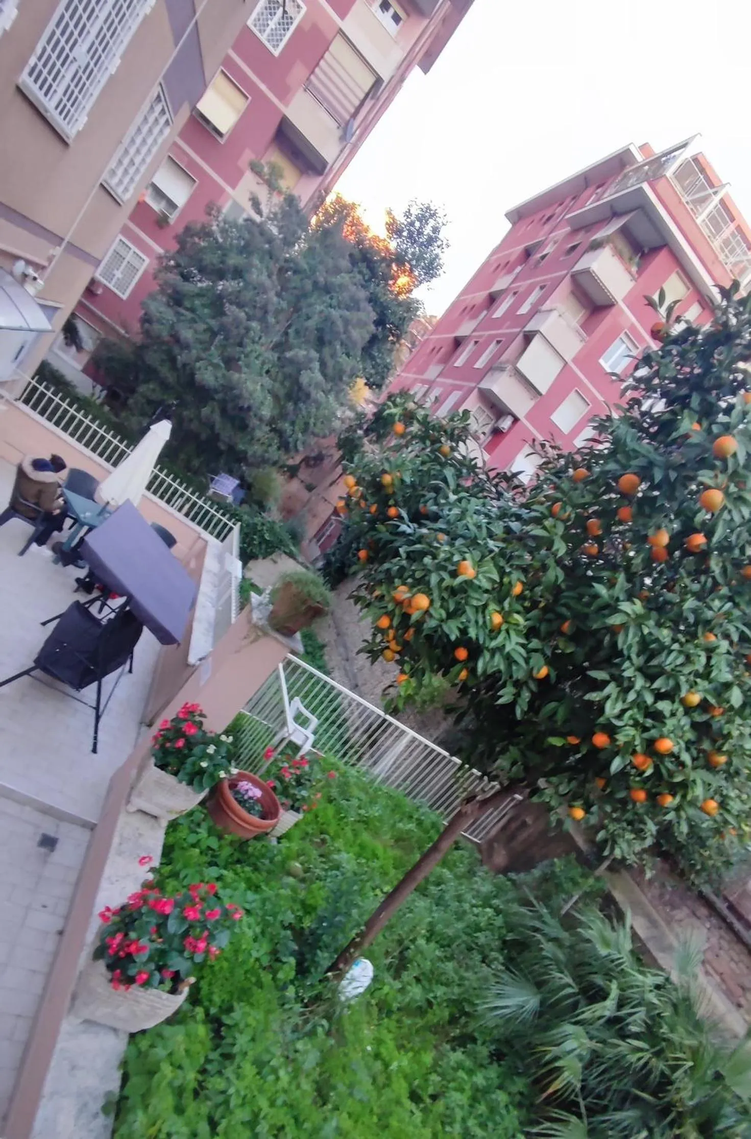 Balcony/Terrace in VATICAN GREEN GARDEN