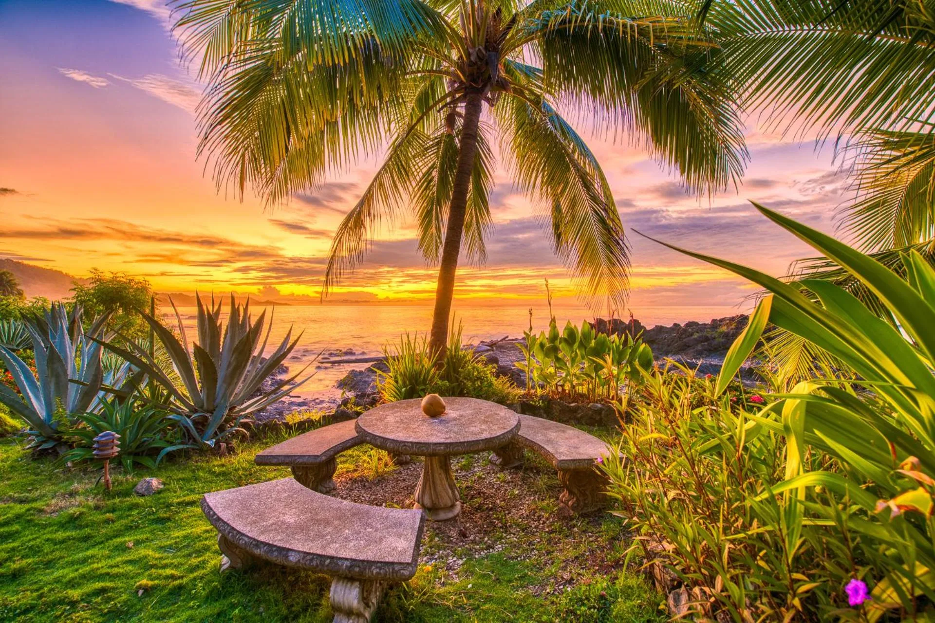 Garden in Hotel Amor de Mar