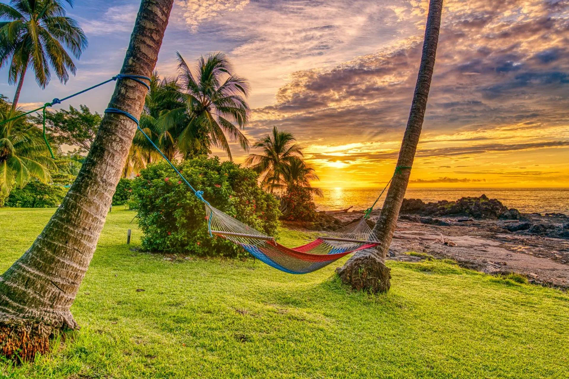 Garden in Hotel Amor de Mar