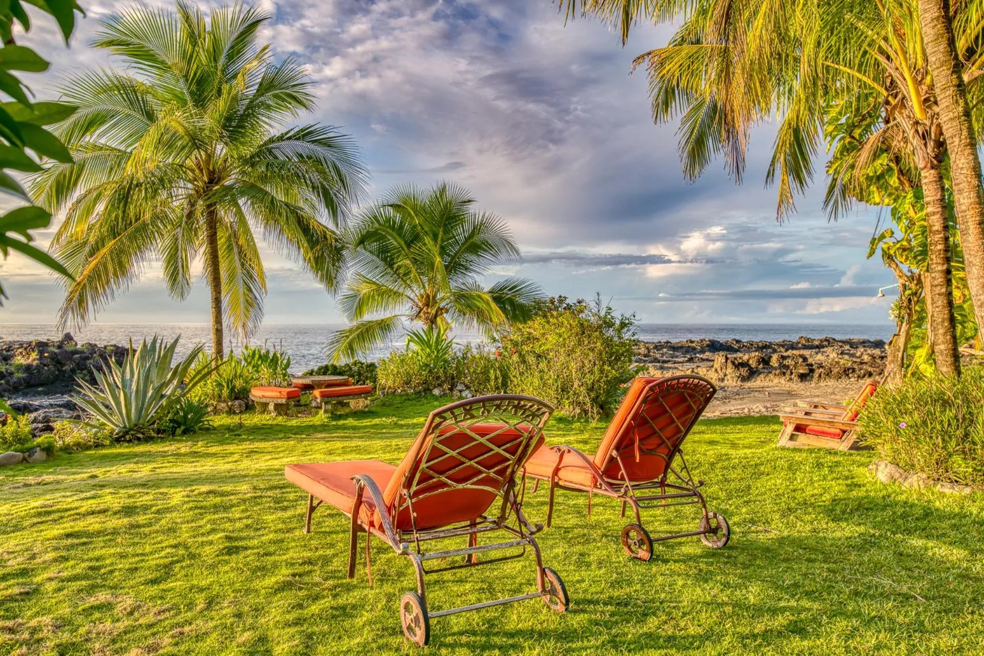 Garden in Hotel Amor de Mar