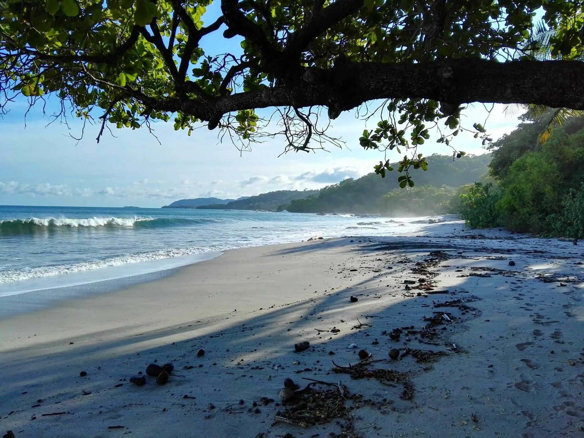 Natural landscape in Hotel Amor de Mar