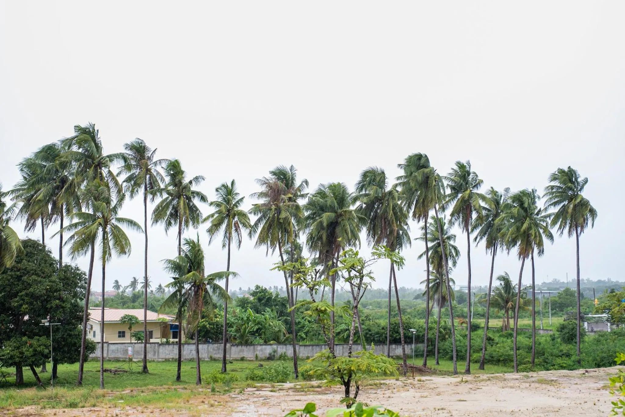 Natural landscape in Wellington Hotel Prachuapkhirikhan