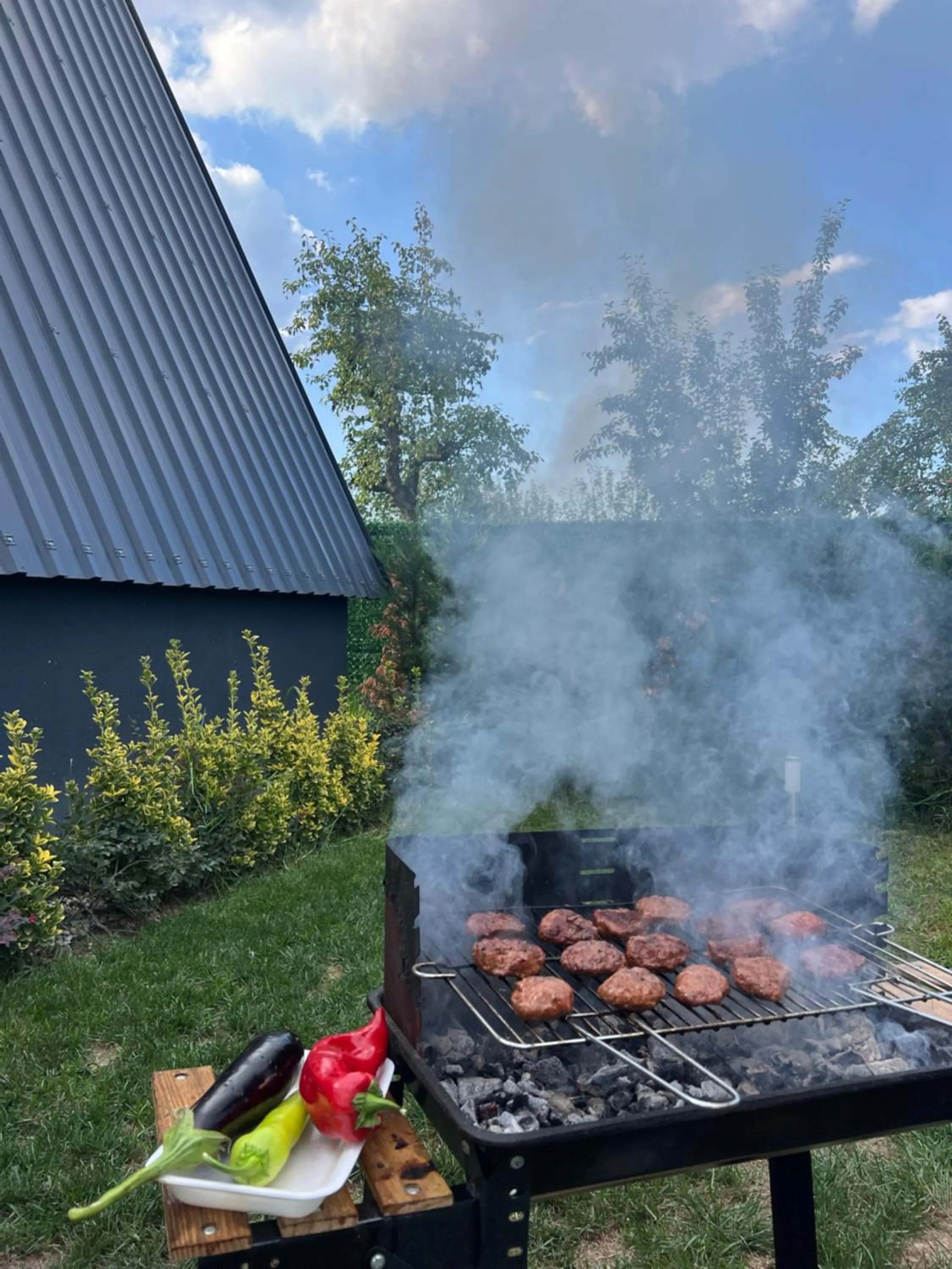 BBQ facilities in Teona Kartepe Bungalov