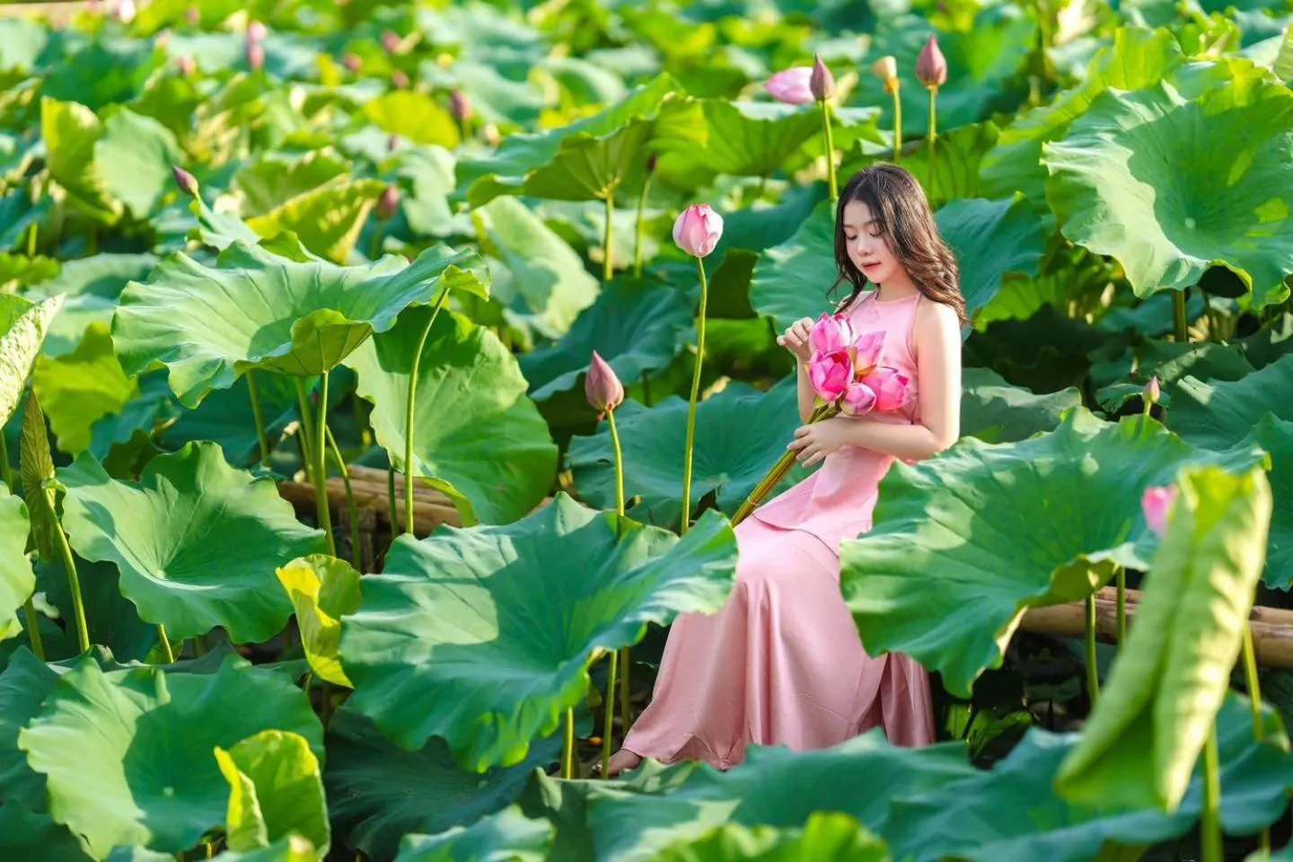 Happy House Moc Chau