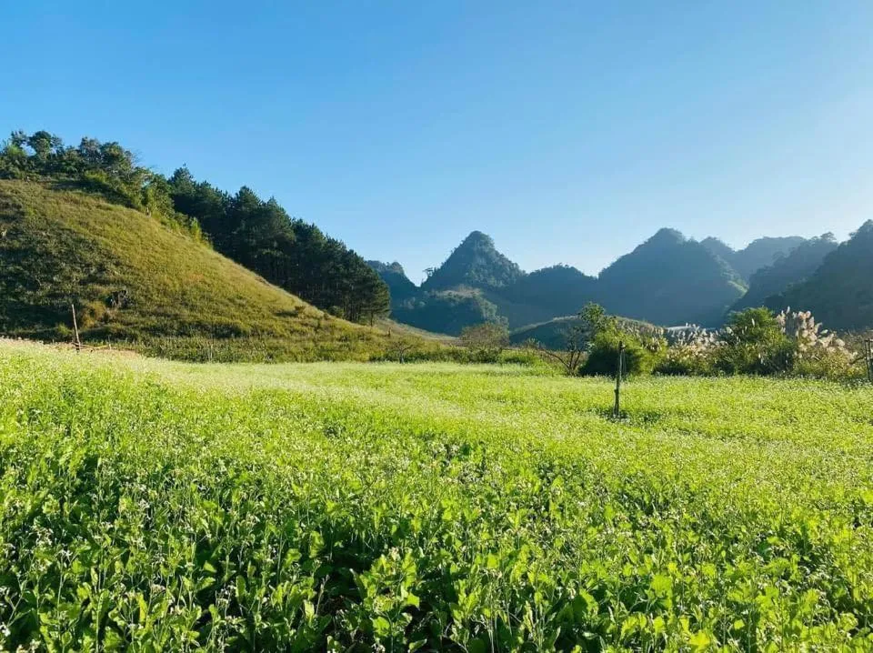 Happy House Moc Chau