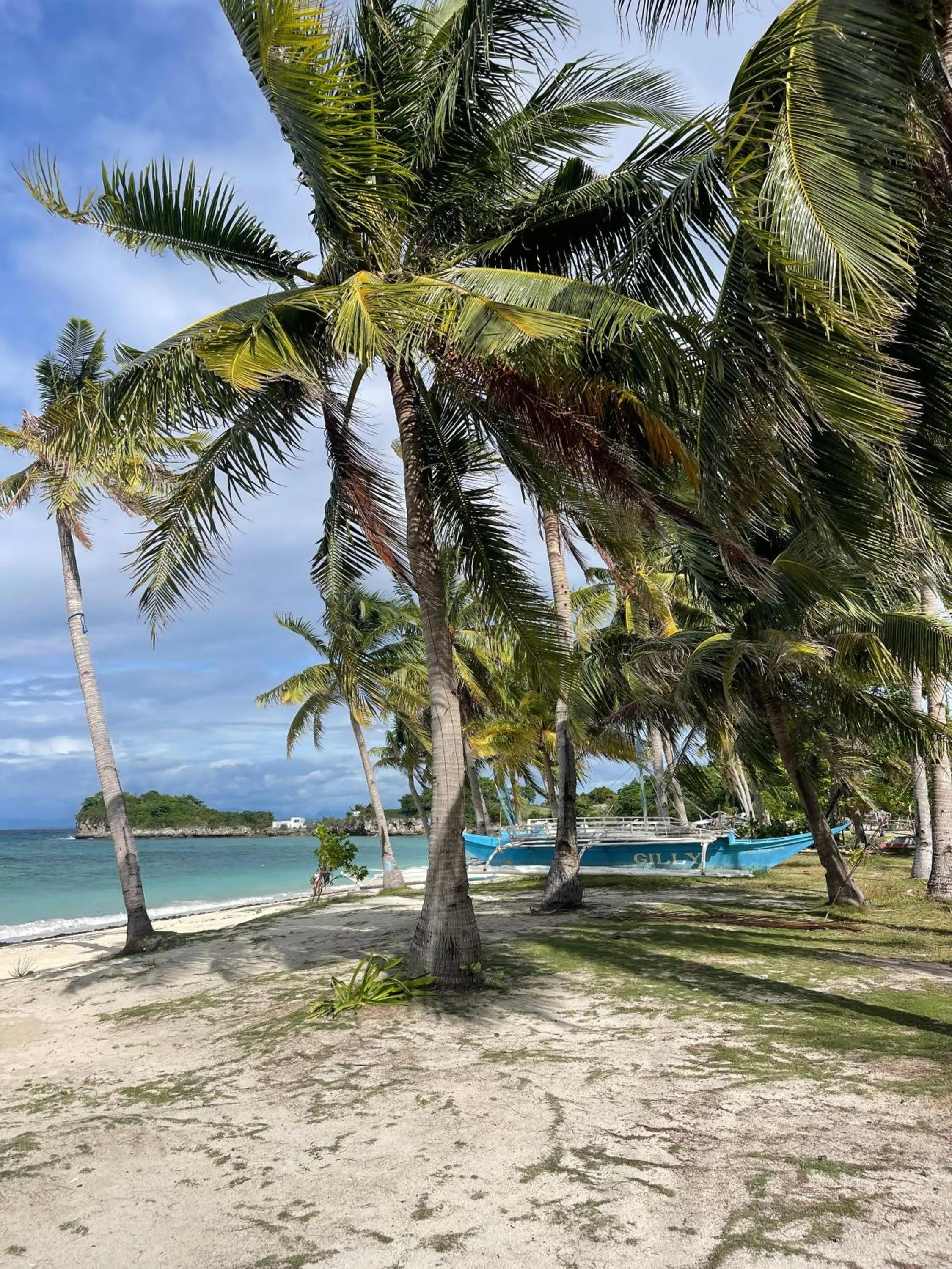 Georgia's Neverland Hostel