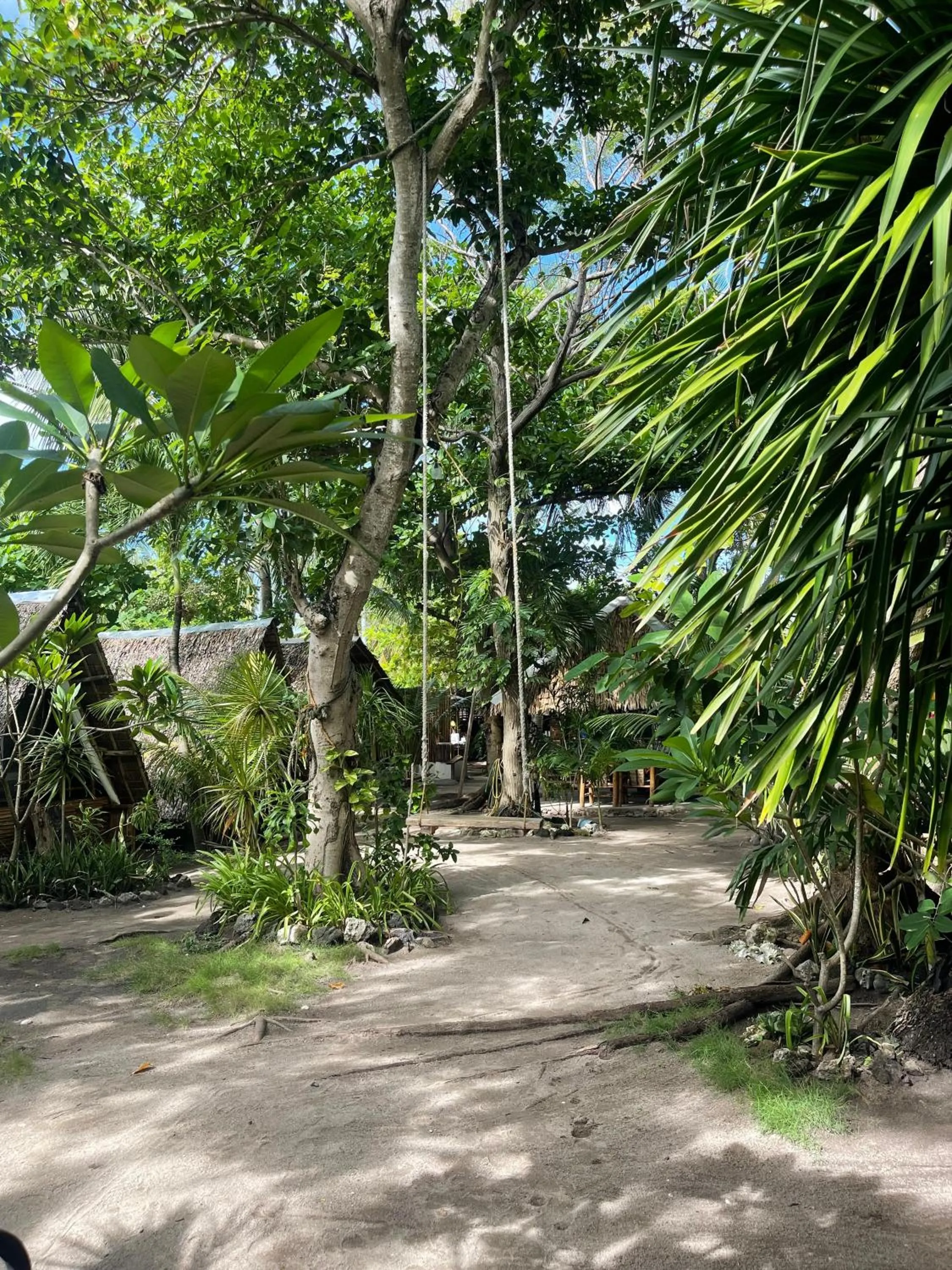 Georgia's Neverland Hostel