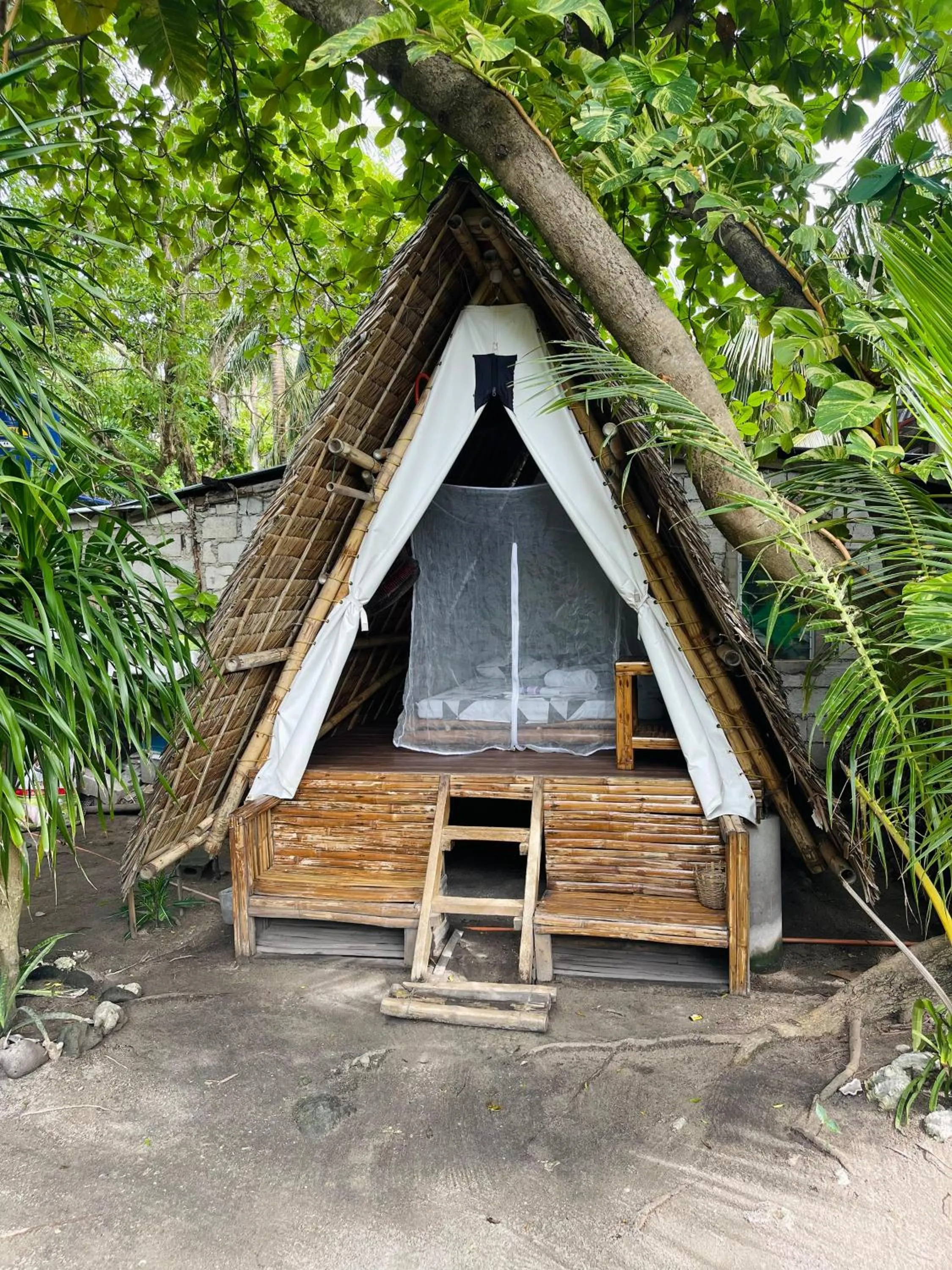 Georgia's Neverland Hostel