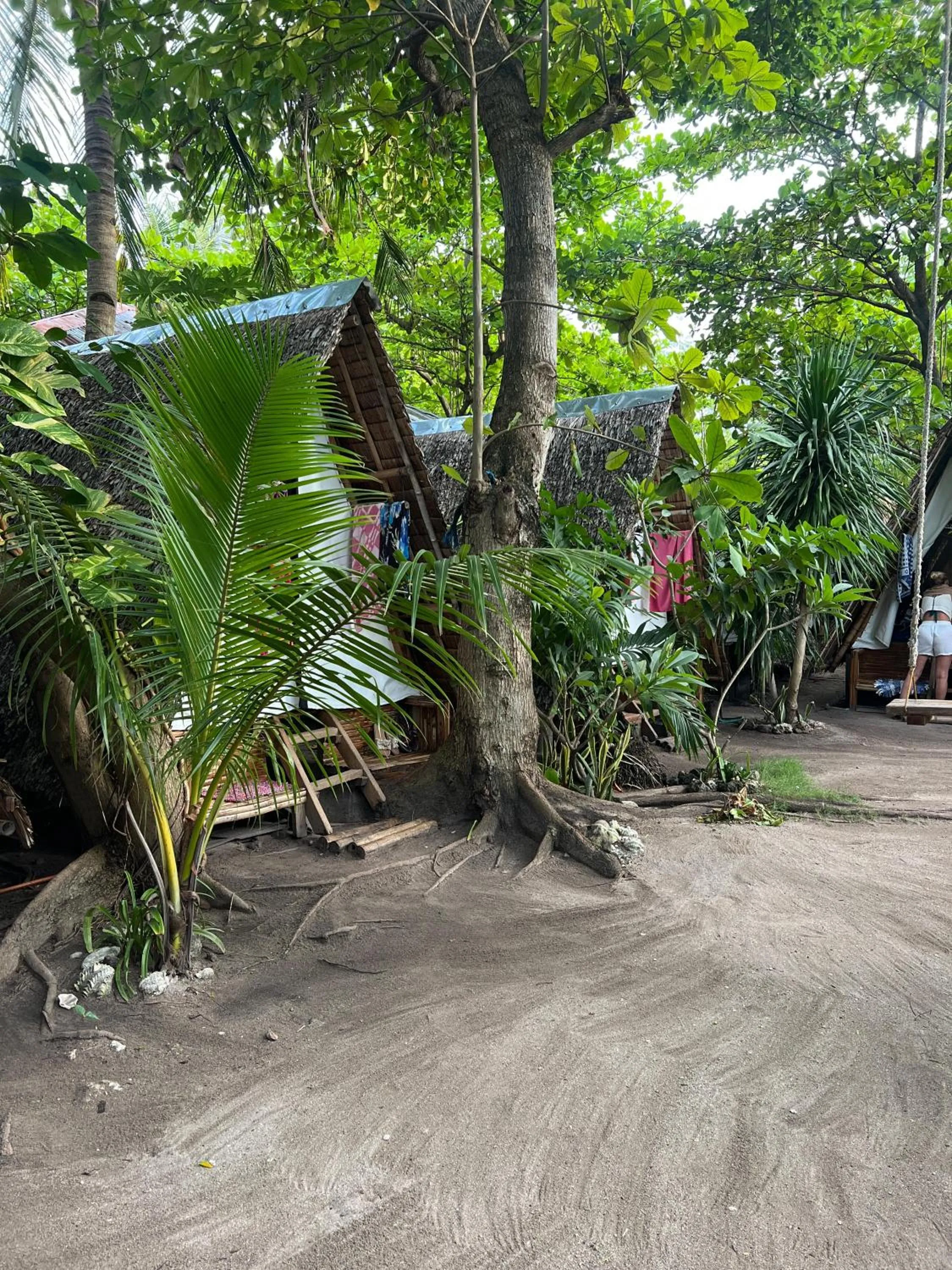 Georgia's Neverland Hostel