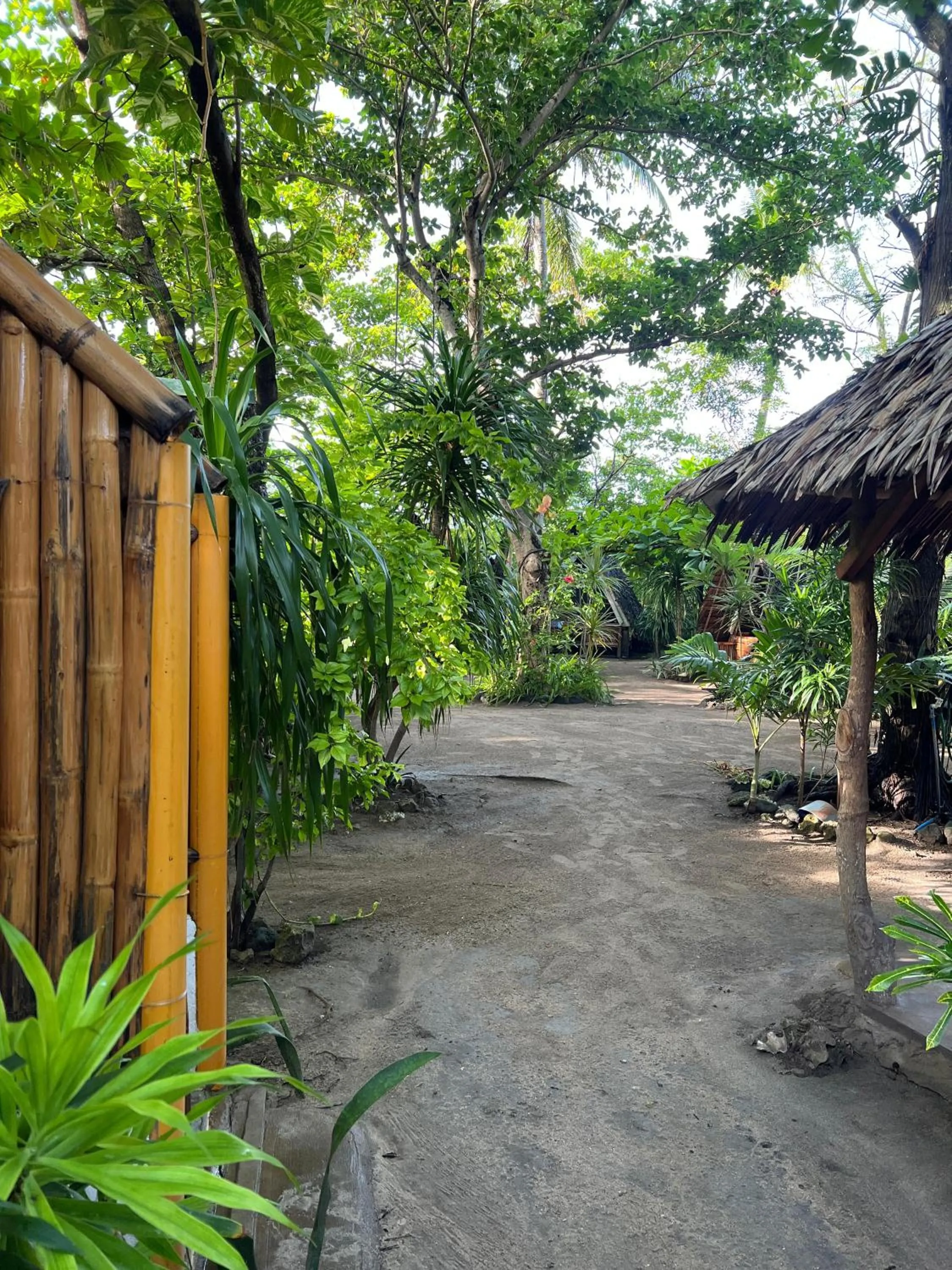 Georgia's Neverland Hostel