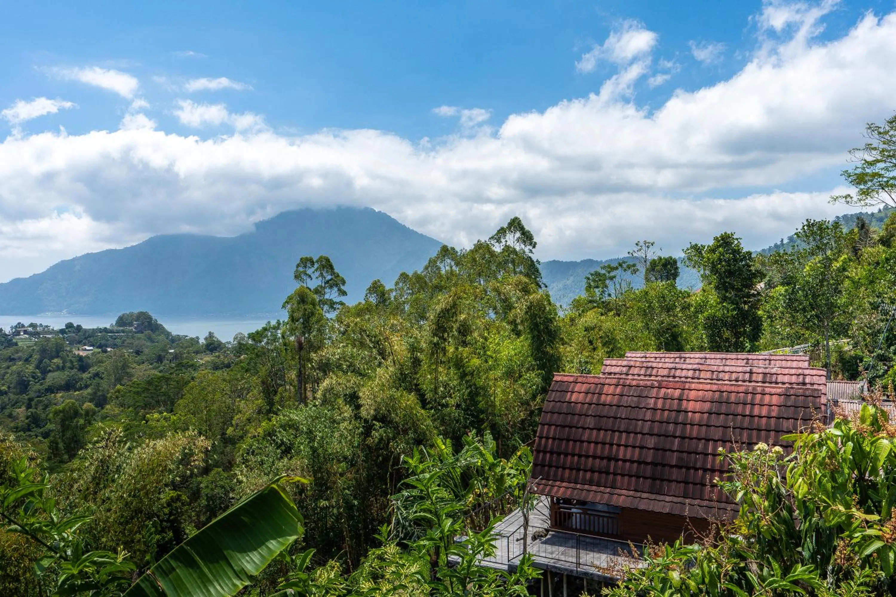 View (from property/room) in Tiing Bali Guest House Kintamani