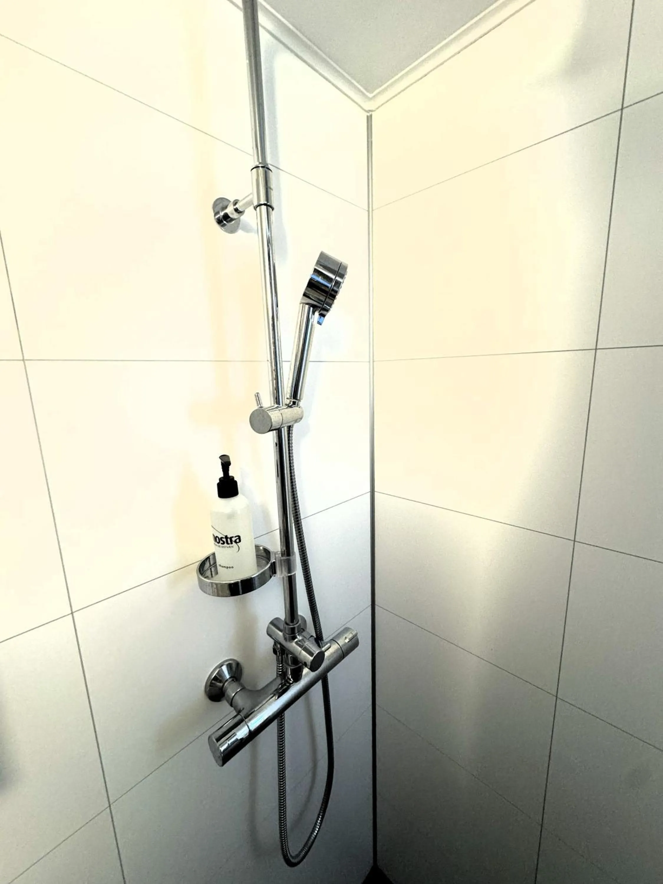 Shower in Day Dream Mjostraeti 10a