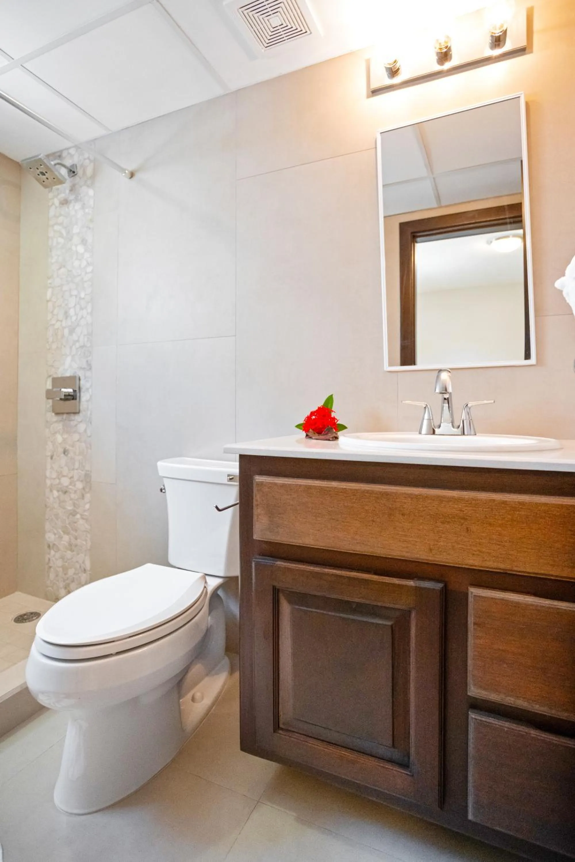 Toilet in Bananas On The Beach