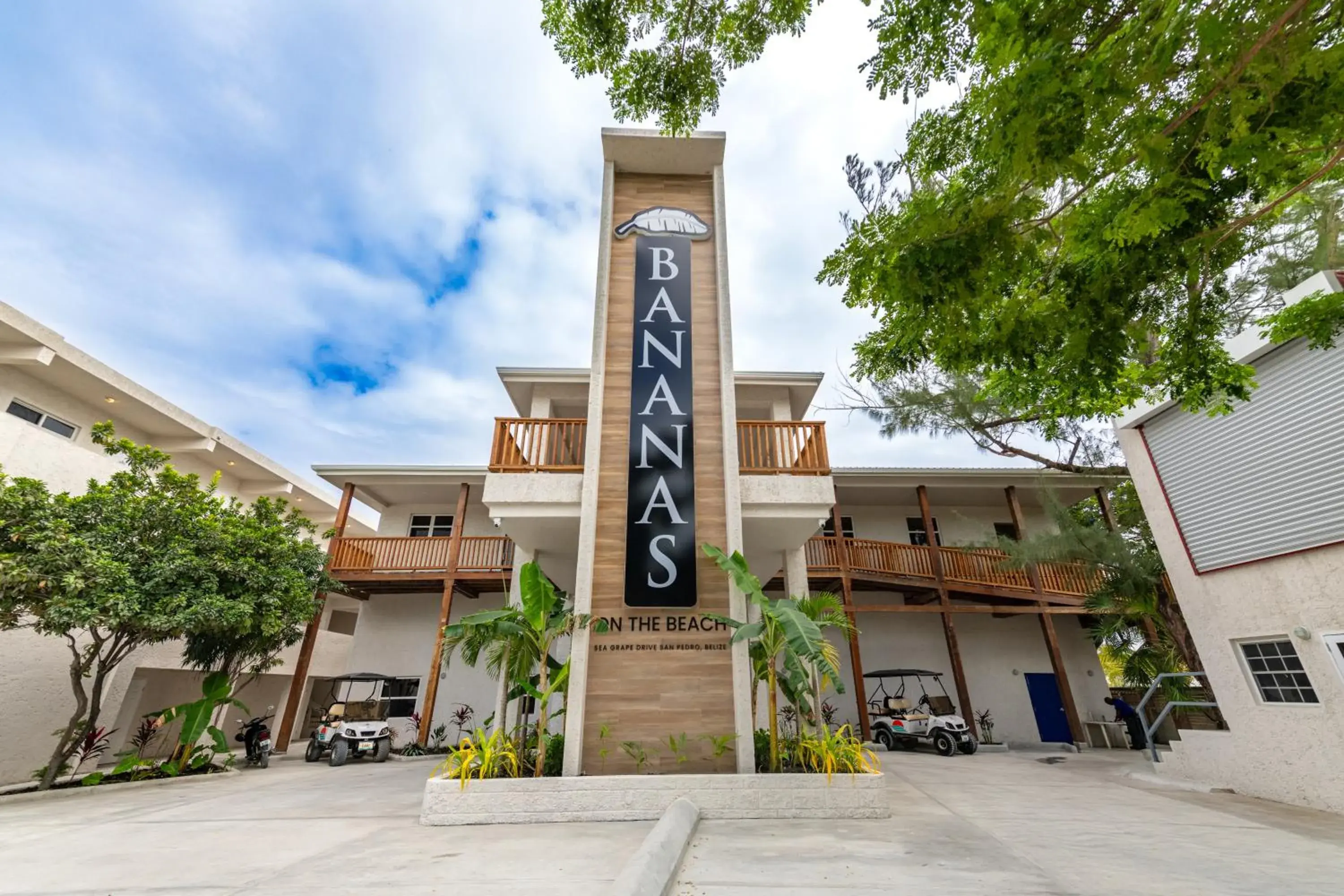 Bananas On The Beach Bananas On The Beach
