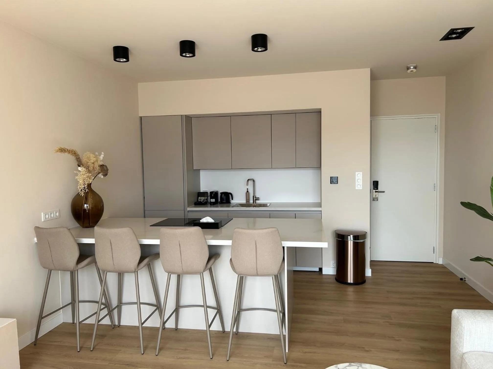 Kitchen or kitchenette in Palace Hotel Zandvoort