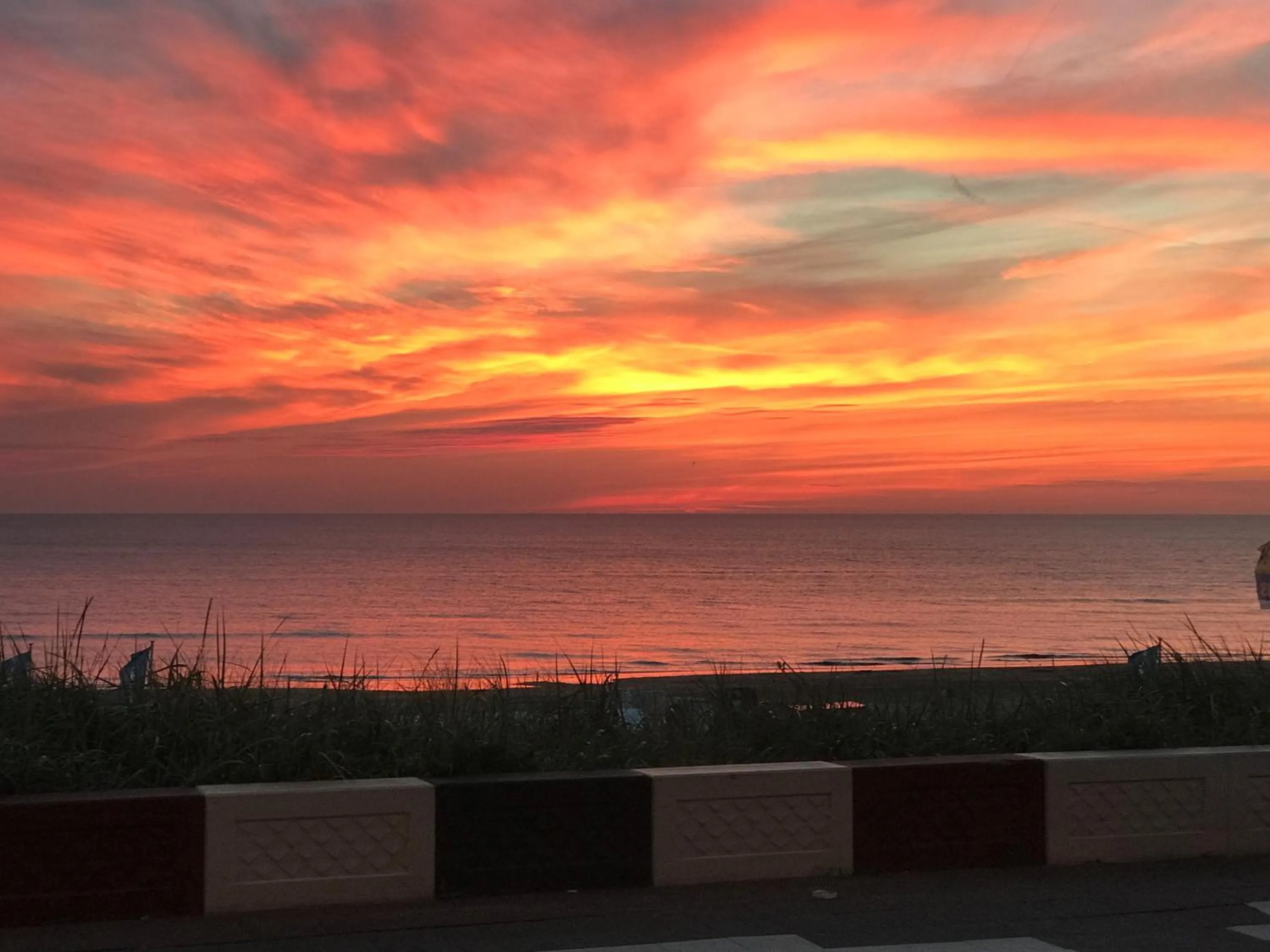 Natural landscape in Palace Hotel Zandvoort