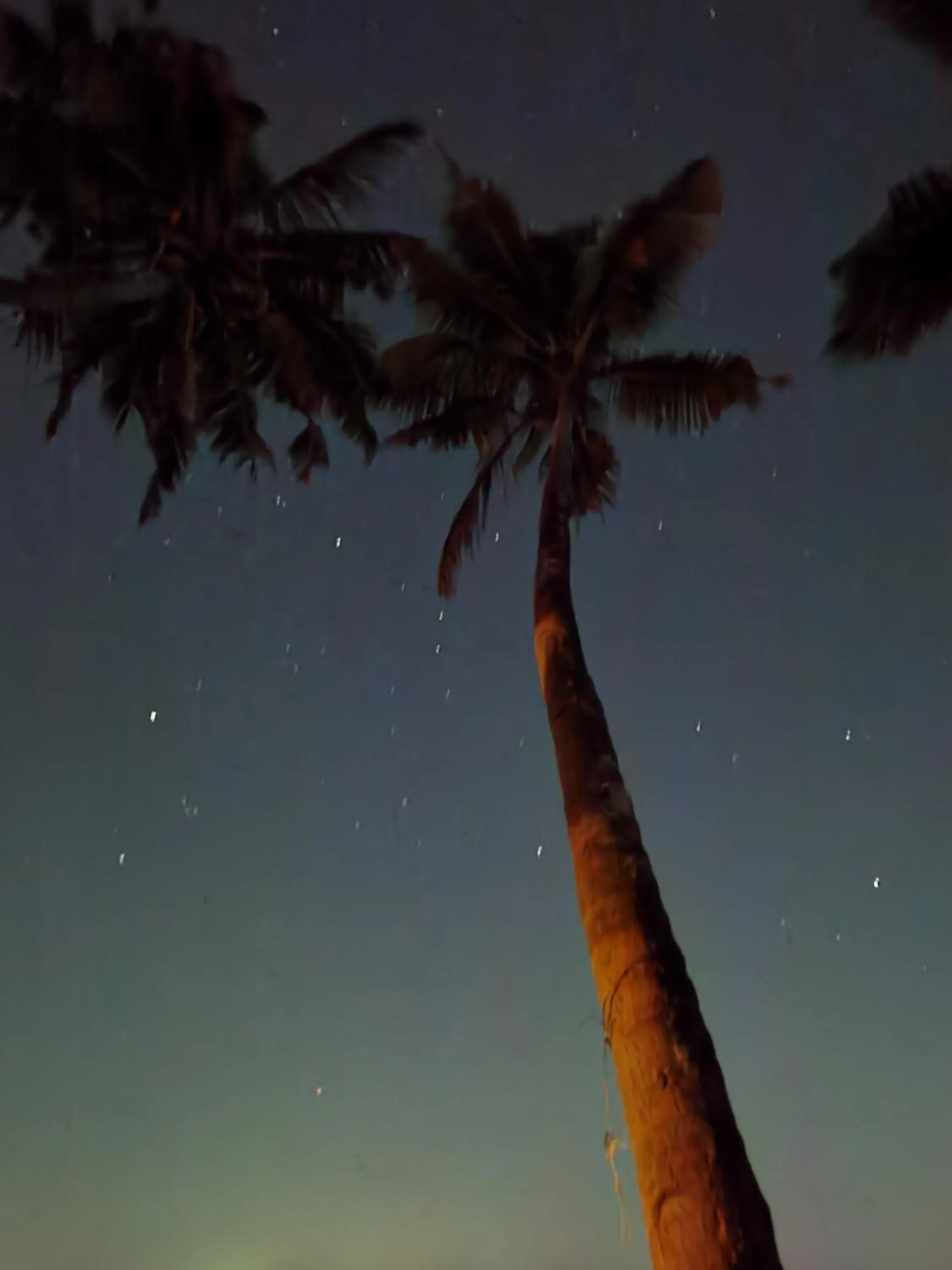 SANTA MARIA HOSTEL MUNROE ISLAND