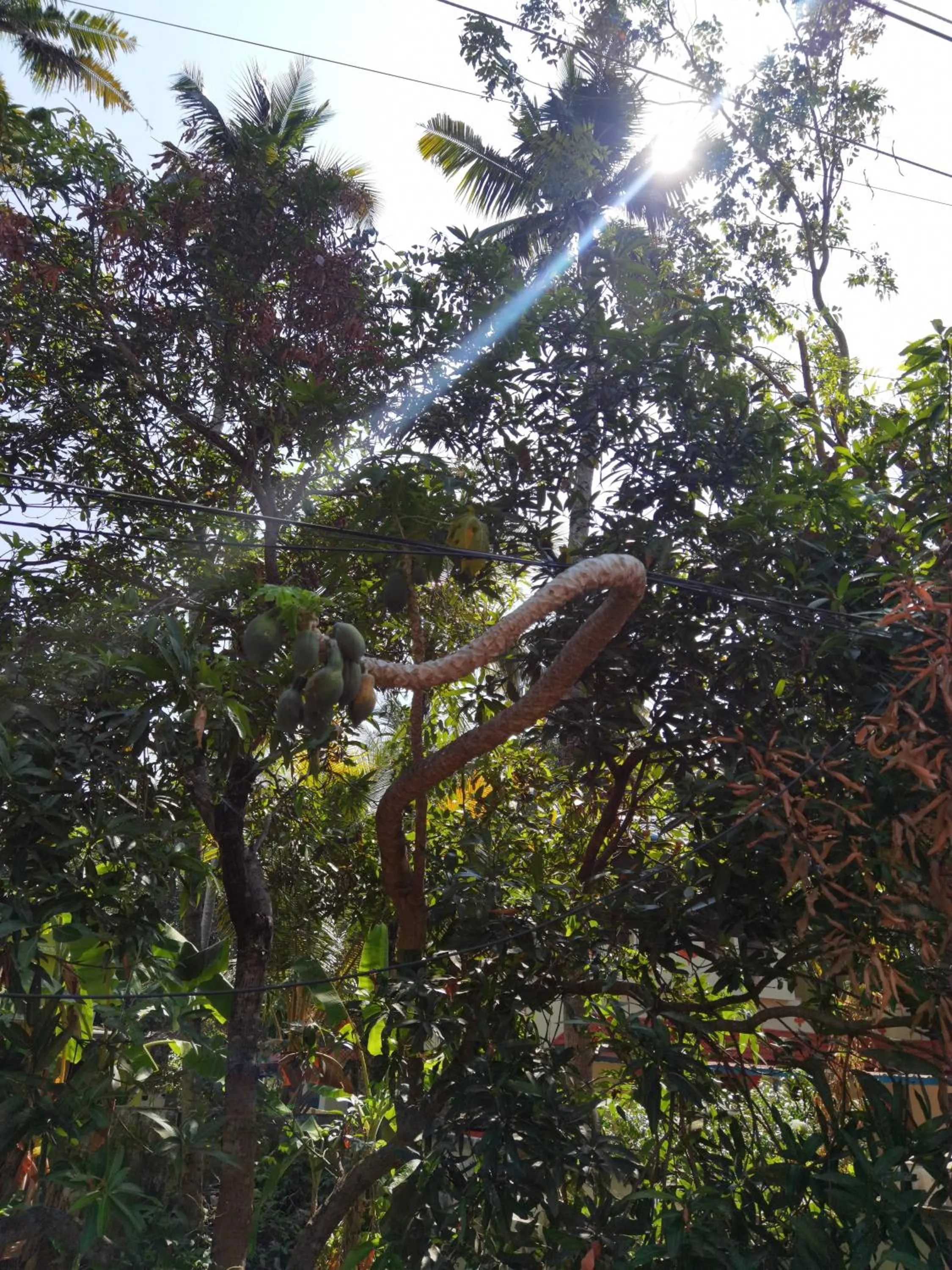 SANTA MARIA HOSTEL MUNROE ISLAND