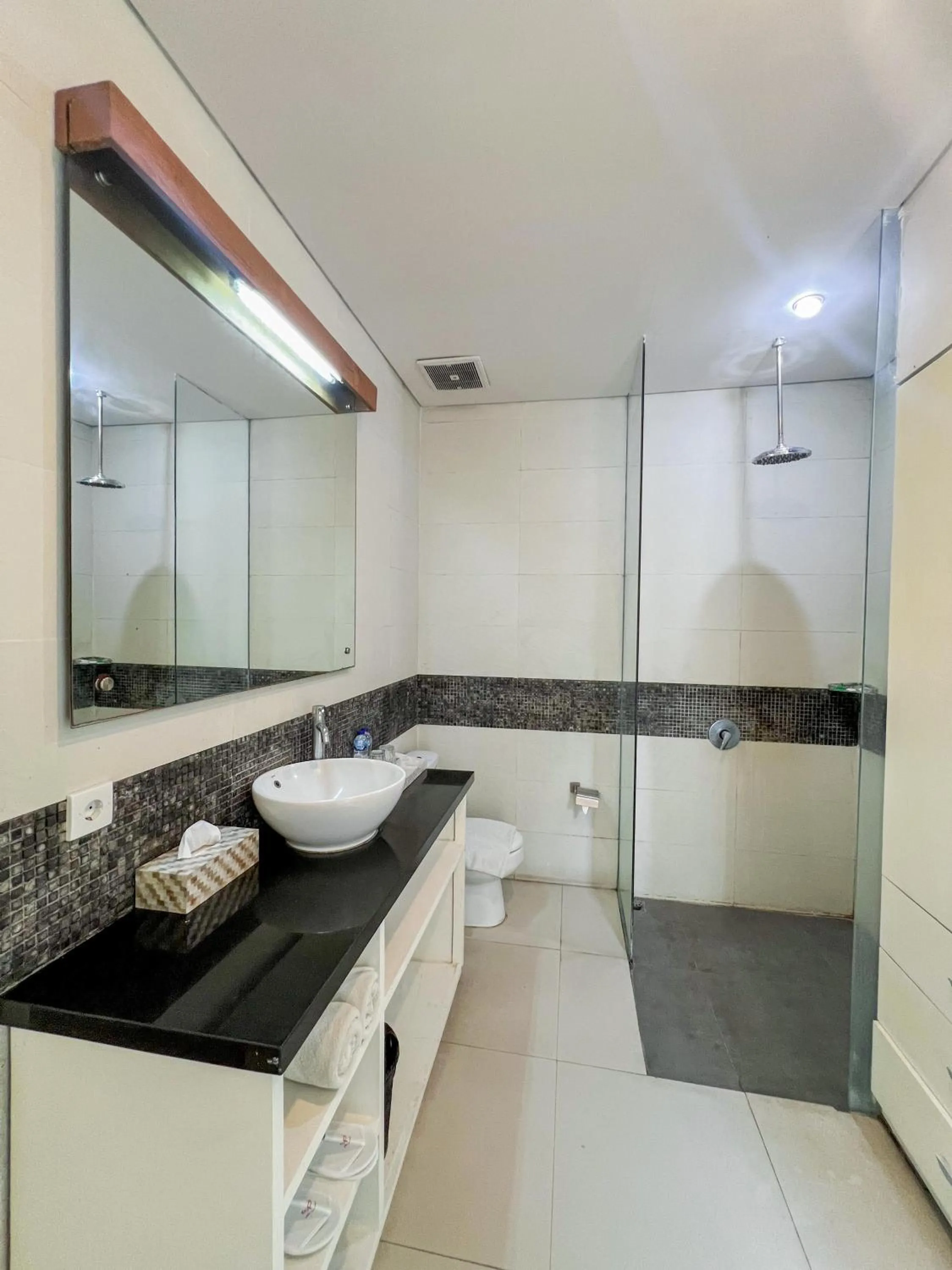 Shower in Apple Suite