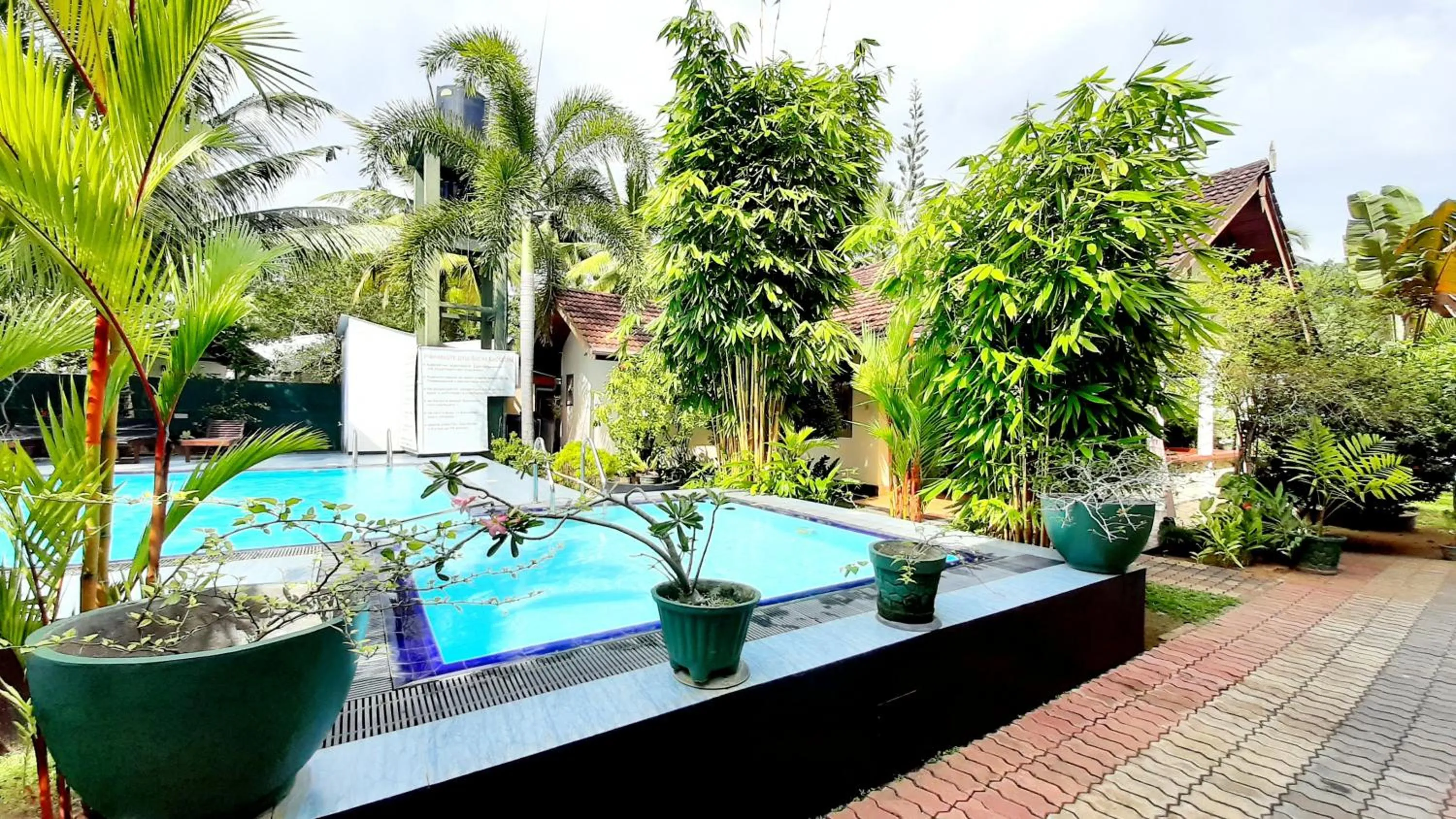 Pool view in The Lodge Unawatuna
