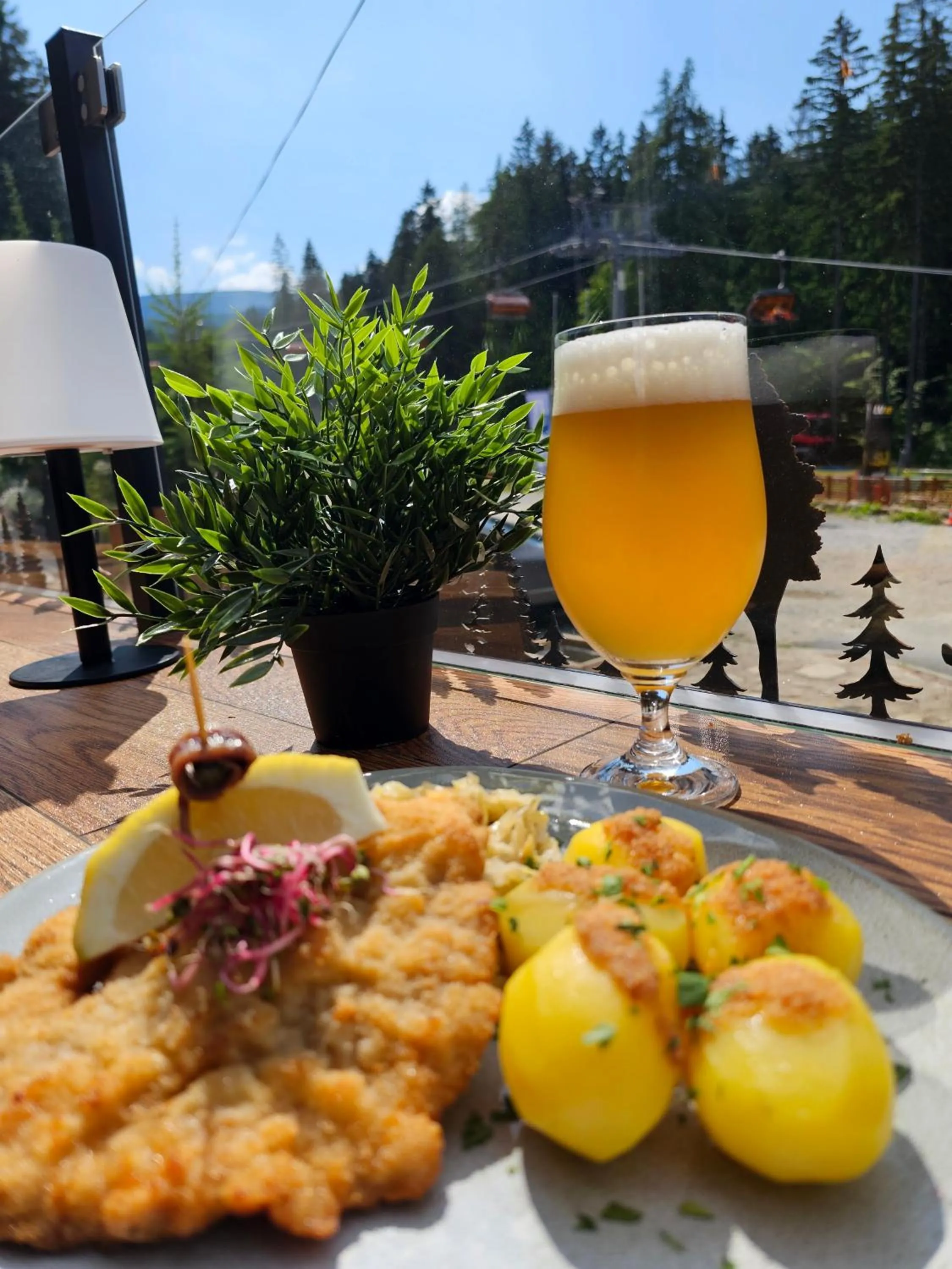 Safir przy samym WYCIĄGU