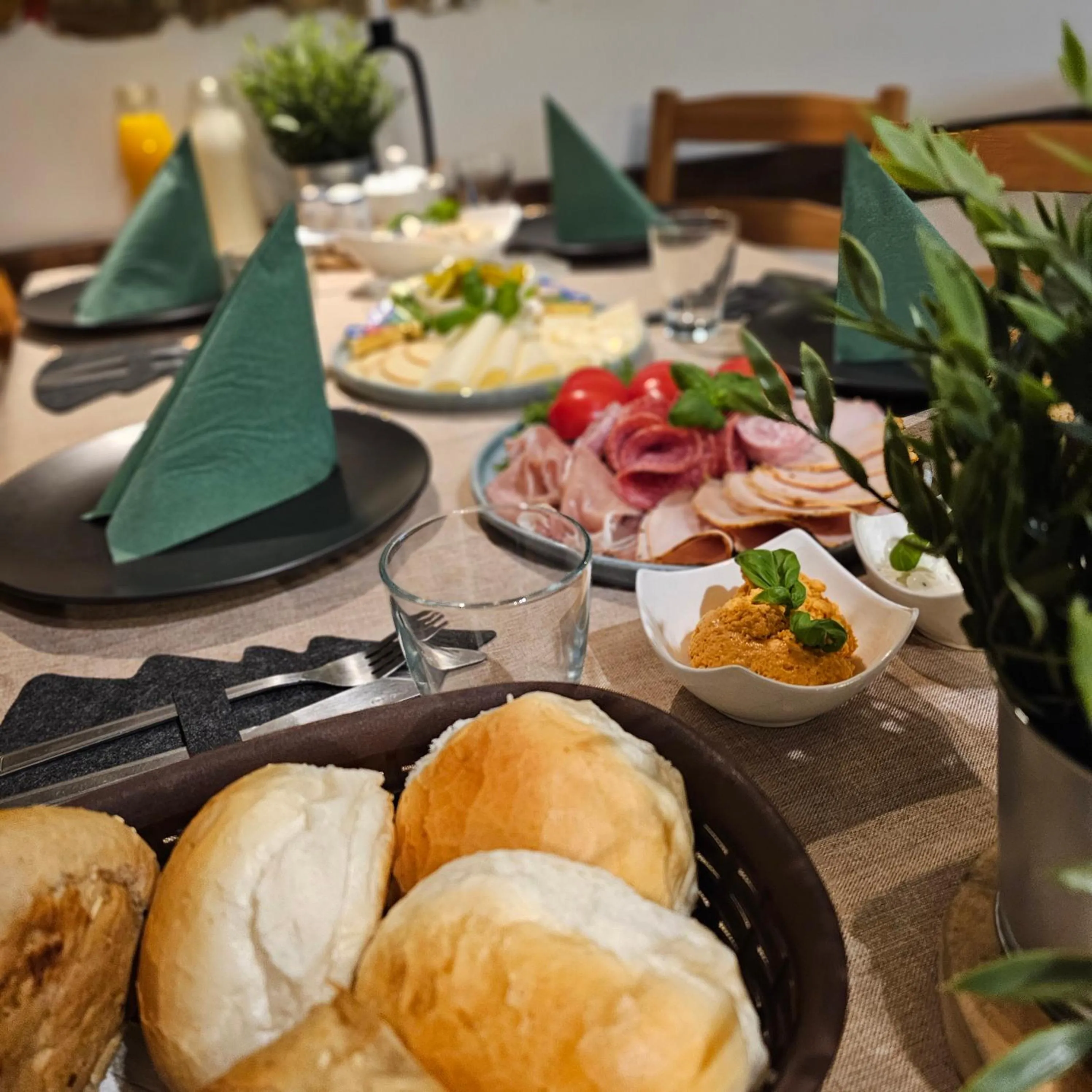 Safir przy samym WYCIĄGU