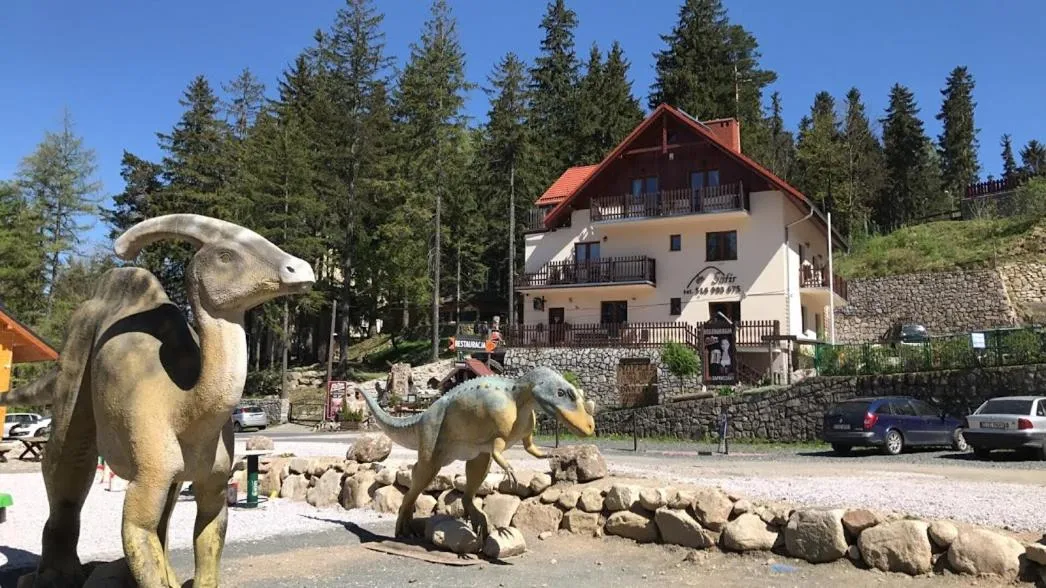 Safir przy samym WYCIĄGU