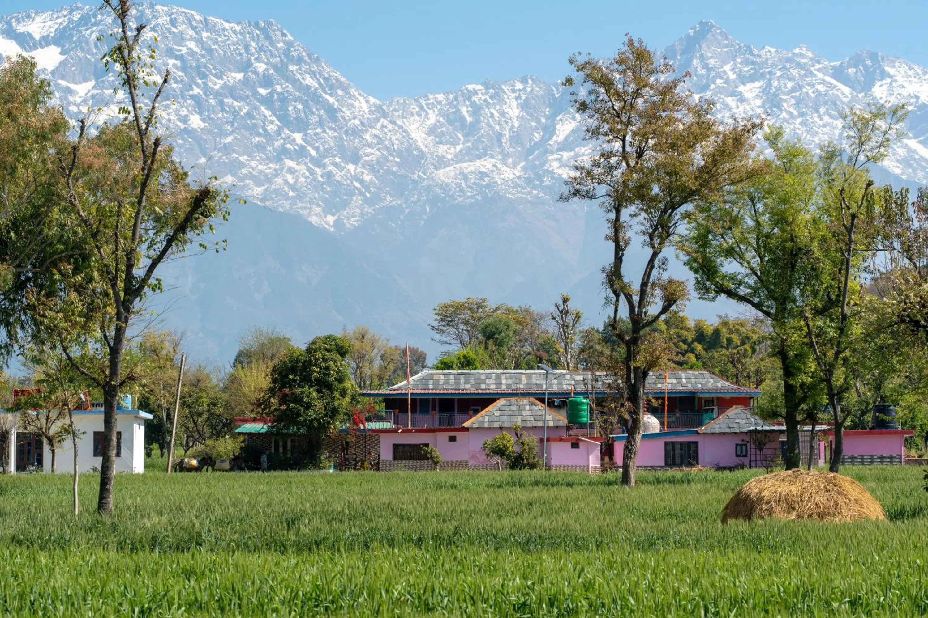 Activities in Tree of Life Birdsong Chalets , Dharamshala