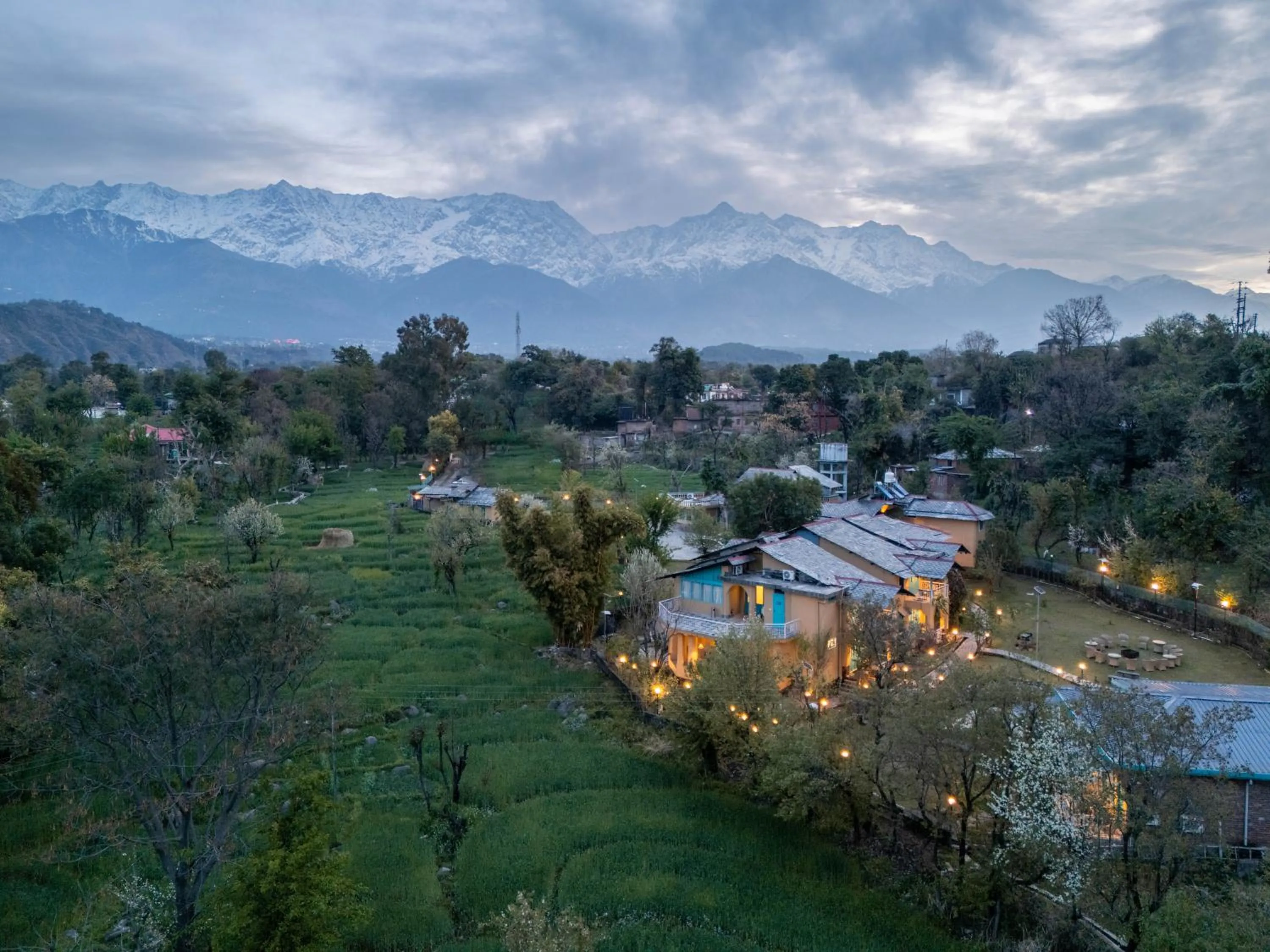 Mountain view in Tree of Life Birdsong Chalets , Dharamshala