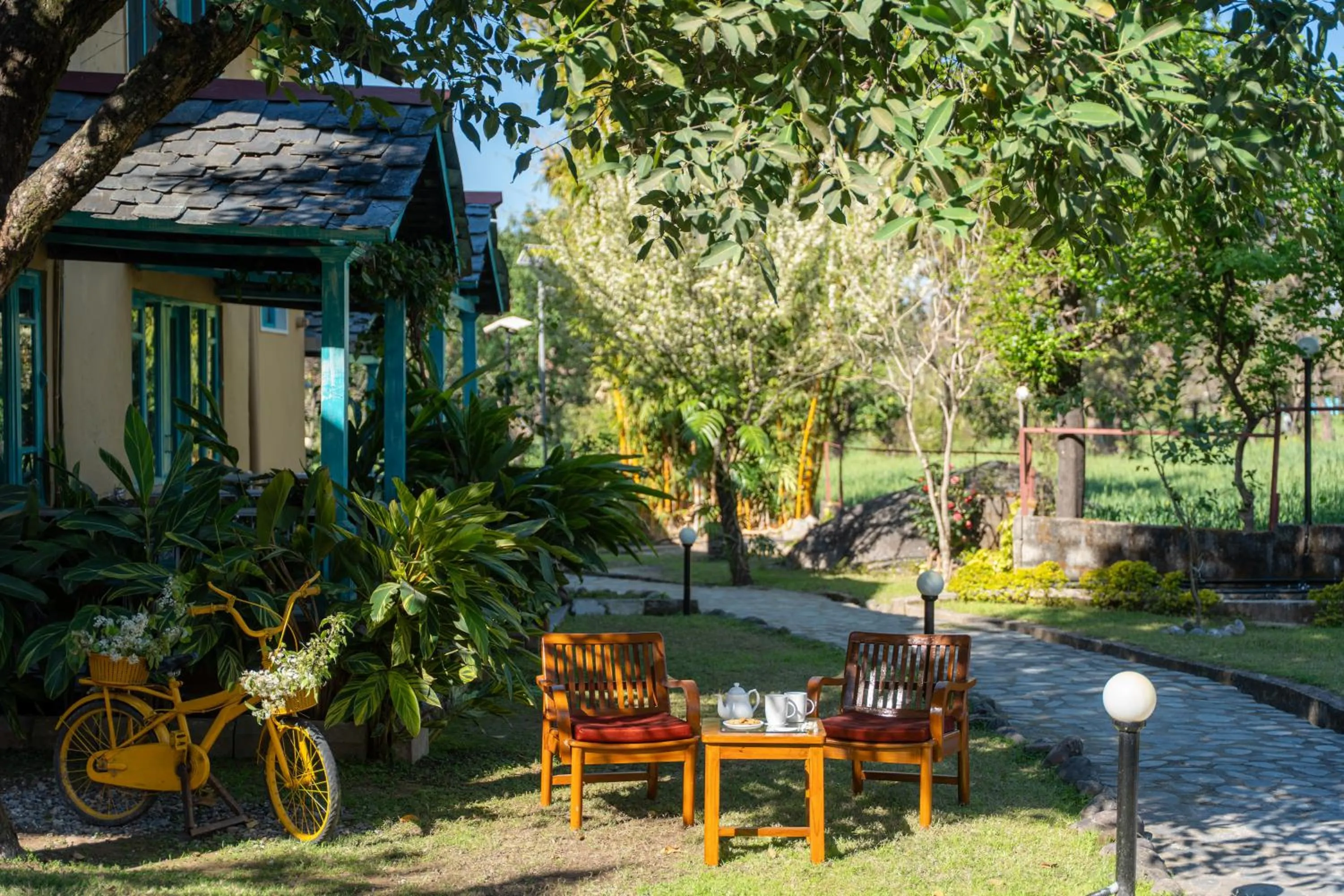 Activities in Tree of Life Birdsong Chalets , Dharamshala