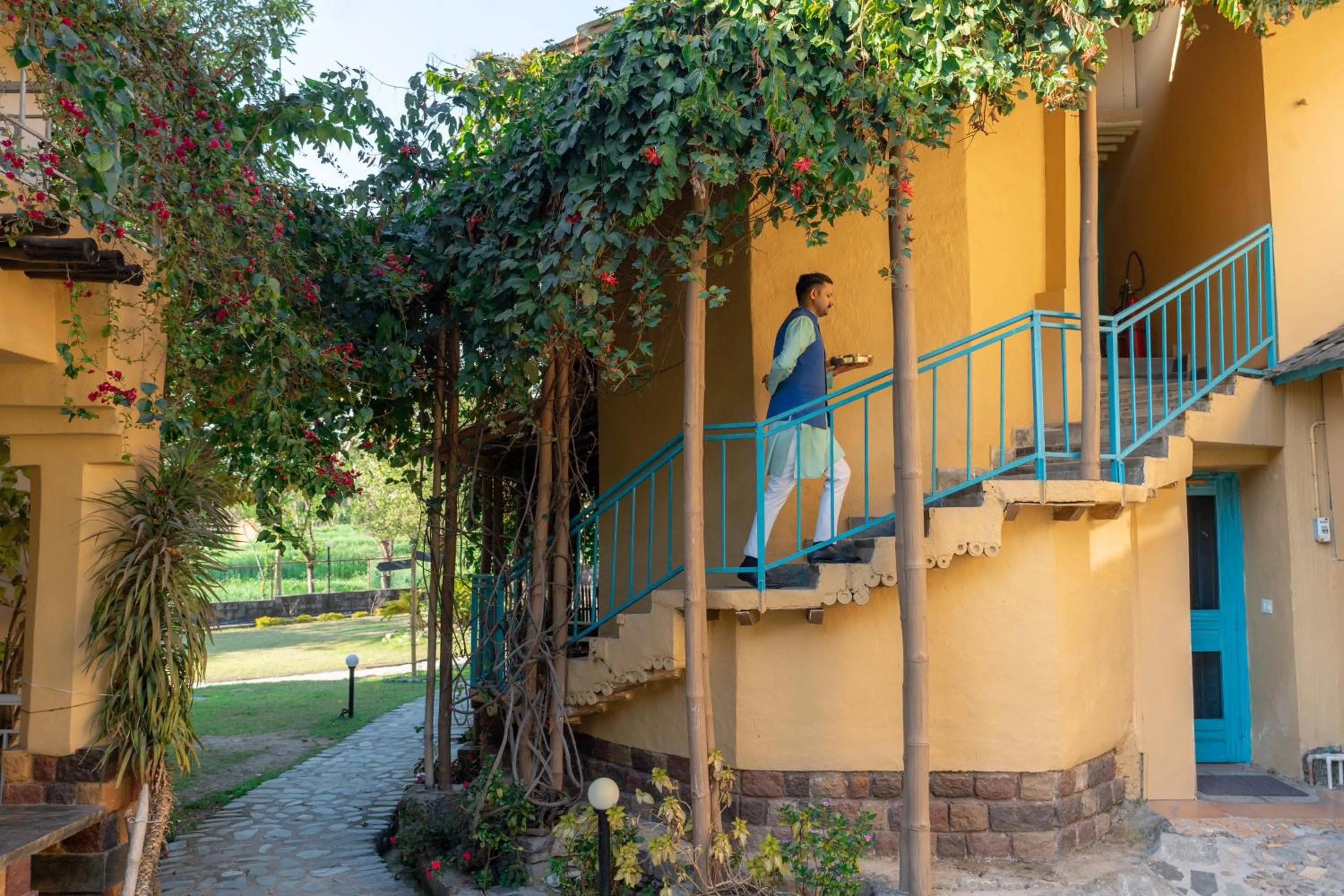 Other in Tree of Life Birdsong Chalets , Dharamshala