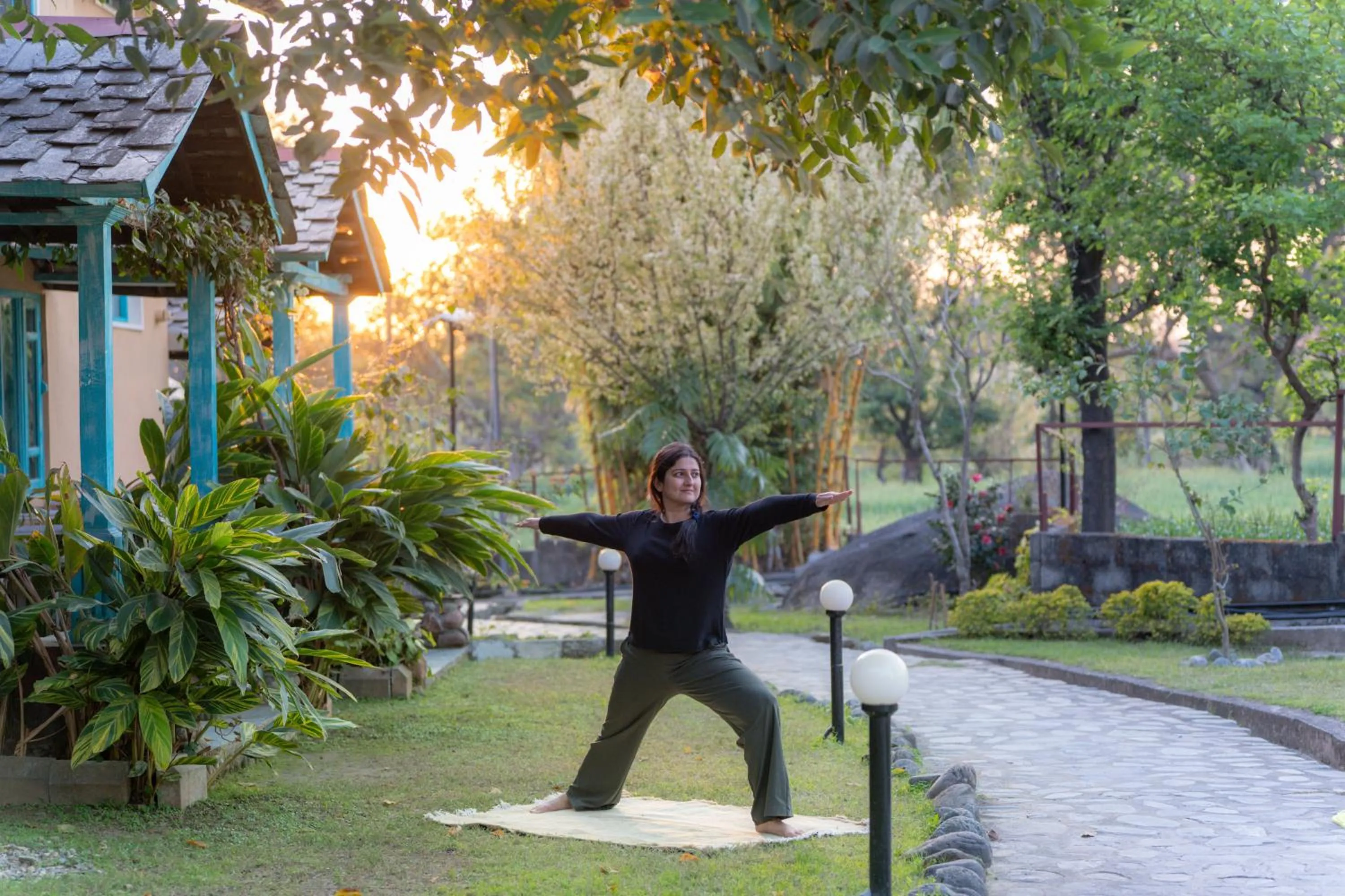 Activities in Tree of Life Birdsong Chalets , Dharamshala