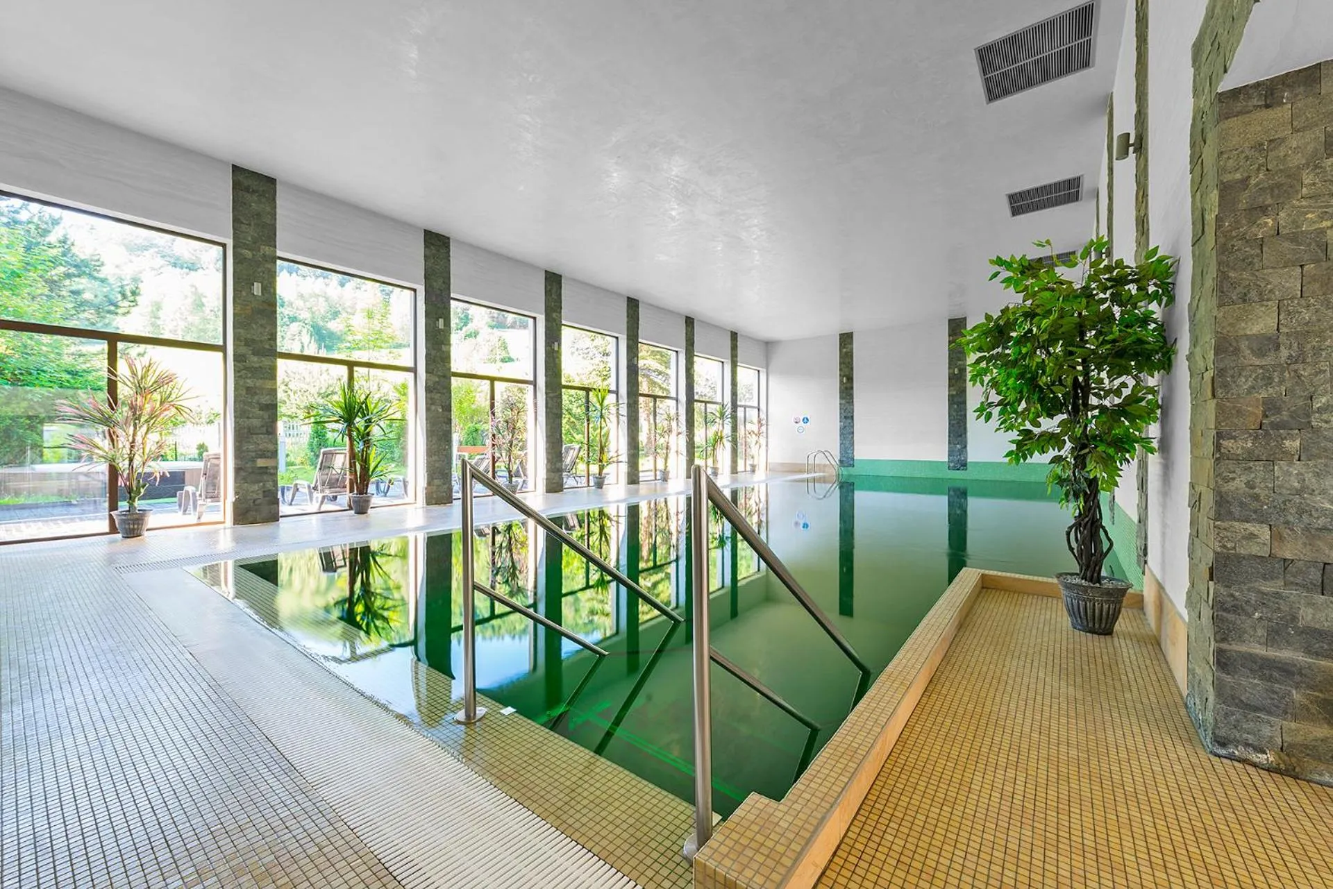 Swimming pool in Hotel Olivia Medical SPA