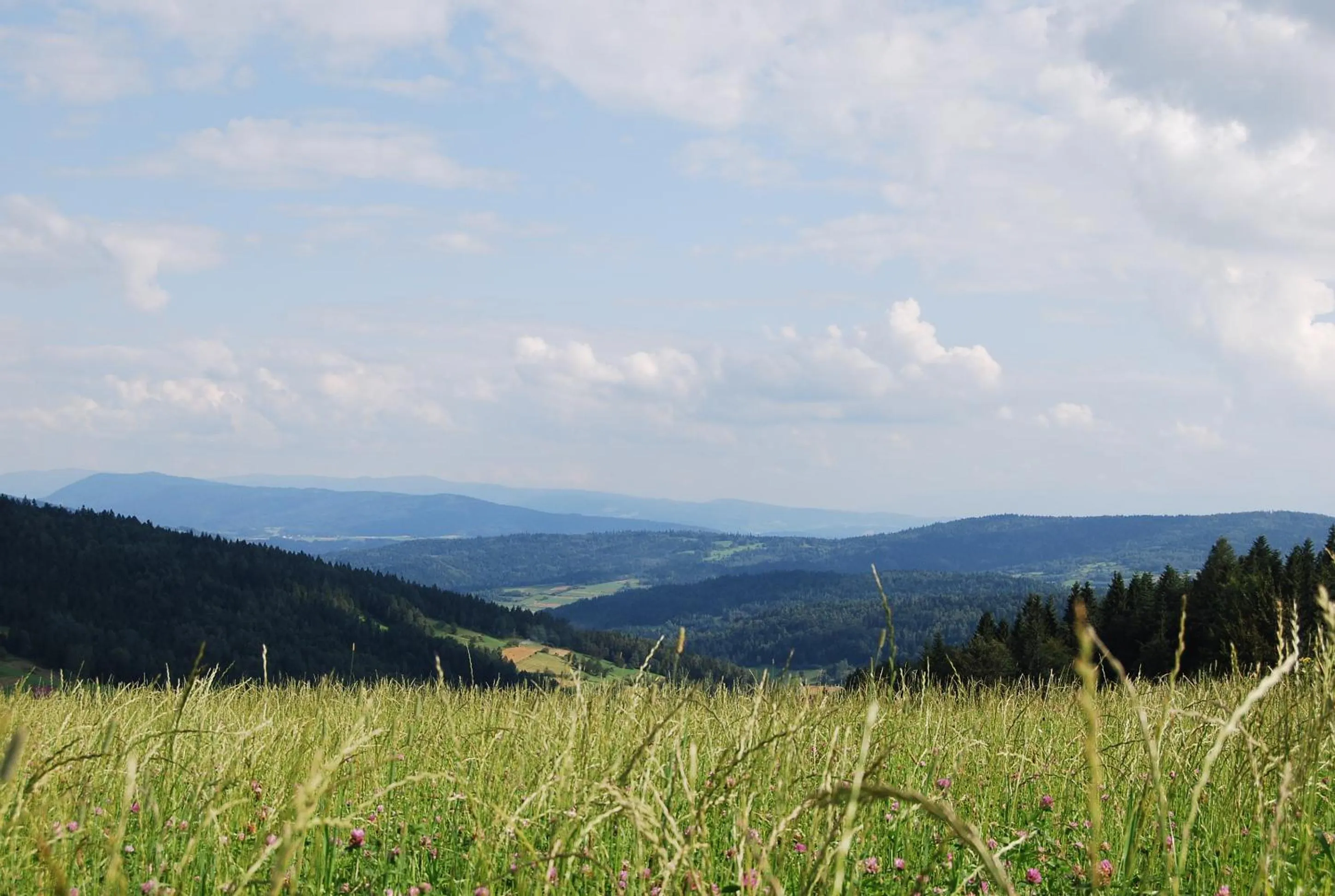 Off site in Hotel Olivia Medical SPA