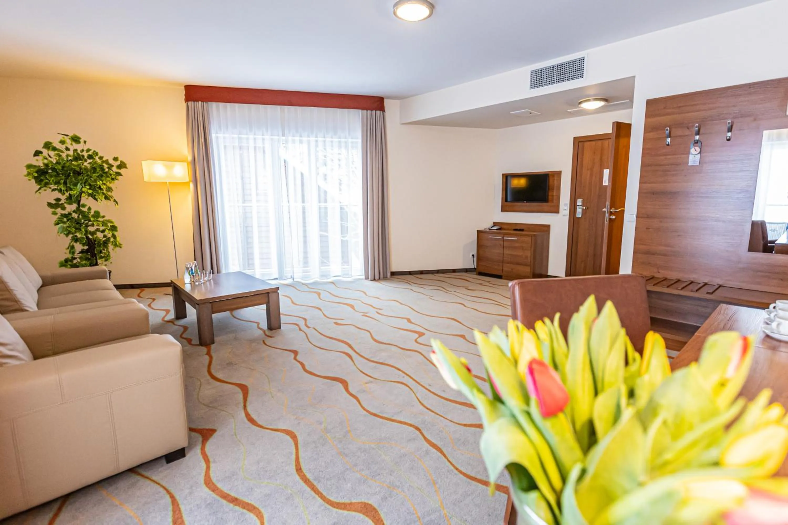 Living room in Hotel Olivia Medical SPA