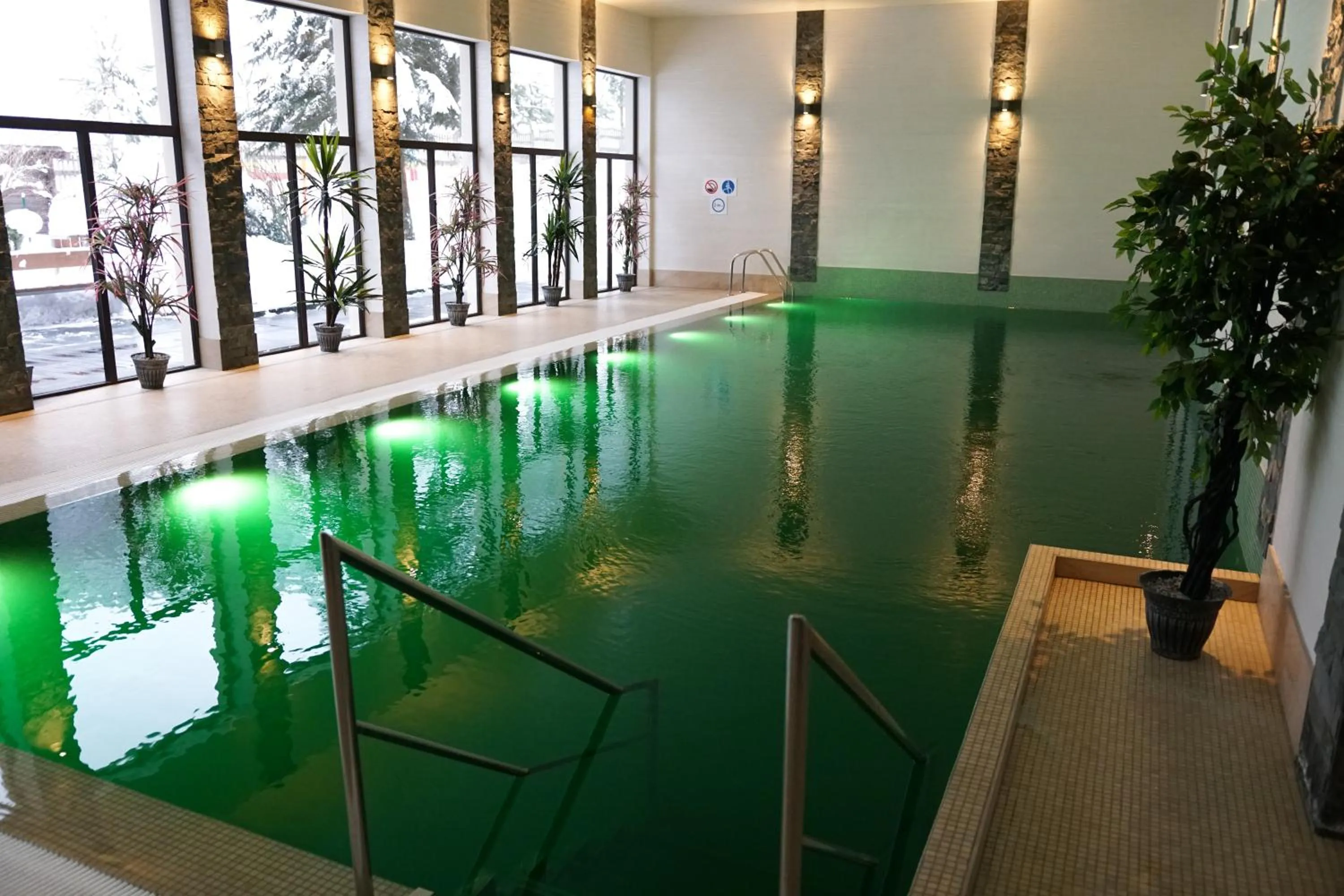 Swimming pool in Hotel Olivia Medical SPA