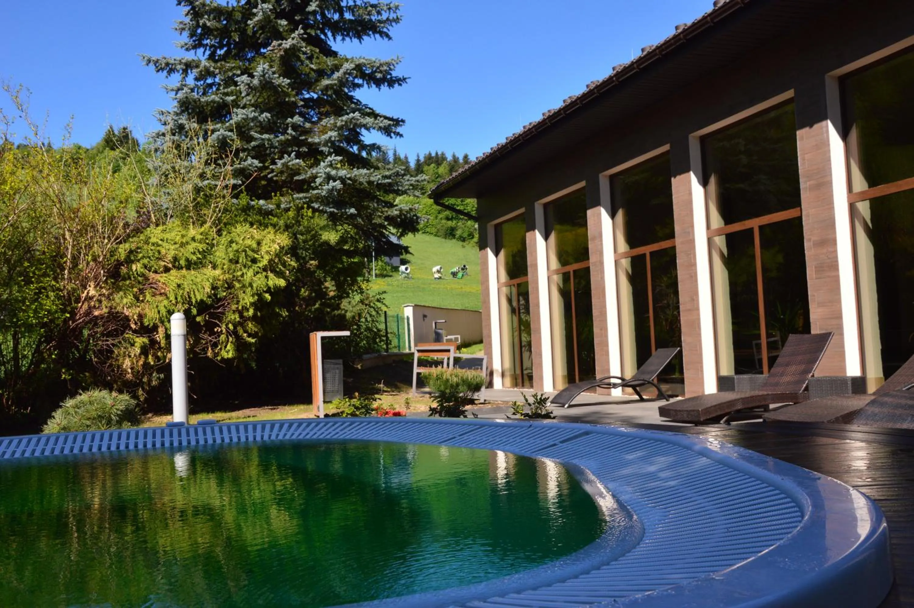 Swimming pool in Hotel Olivia Medical SPA