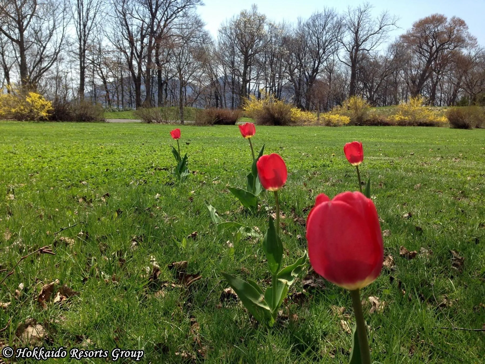Area and facilities in Lakehouse At Toyako