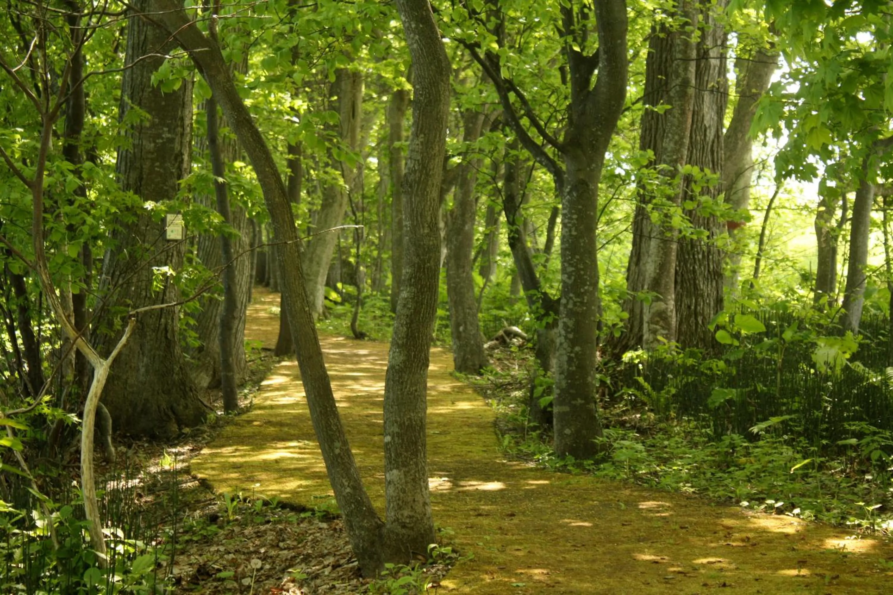 Area and facilities in Lakehouse At Toyako