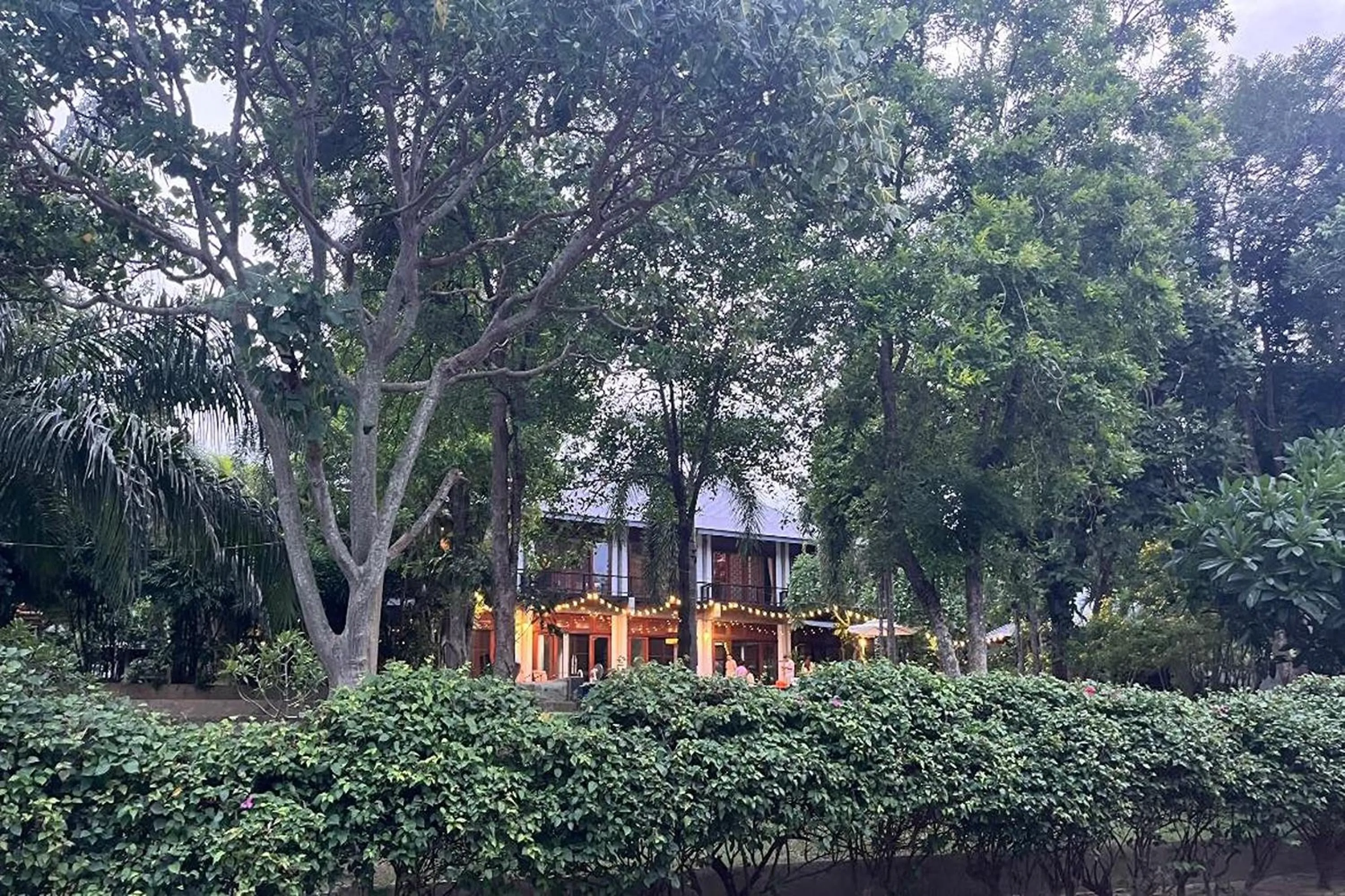 Garden in SS pool villa hills