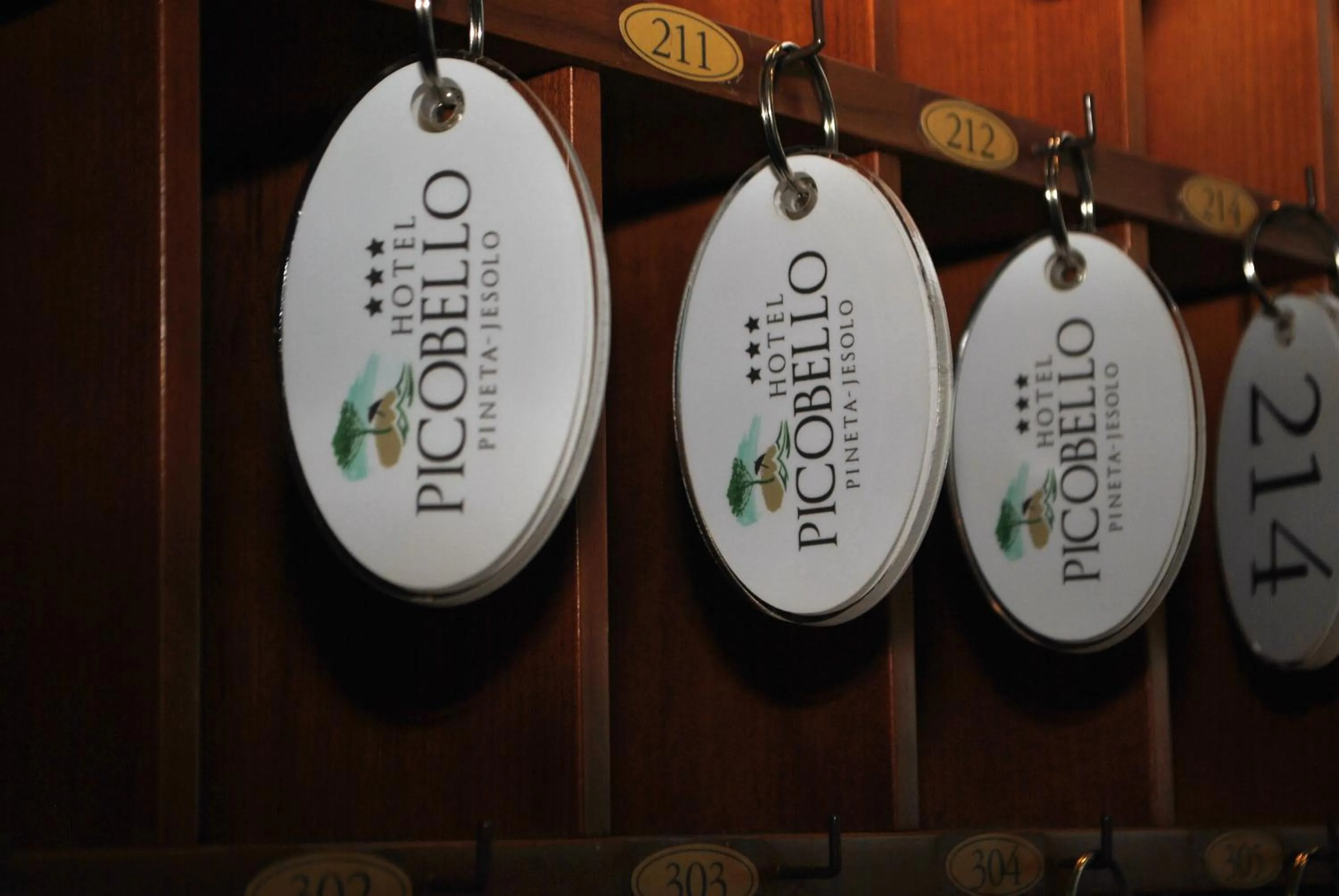 Lobby or reception in Hotel Picobello Pineta