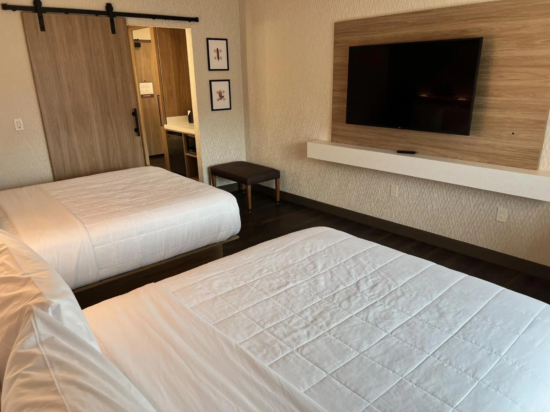 TV and multimedia, Bed in Wyndham Garden Redwood Valley - Ukiah