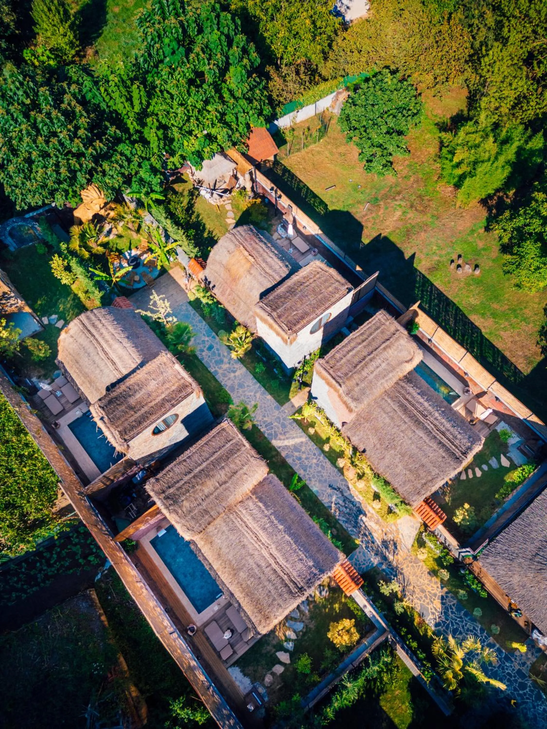 Feronia Suites