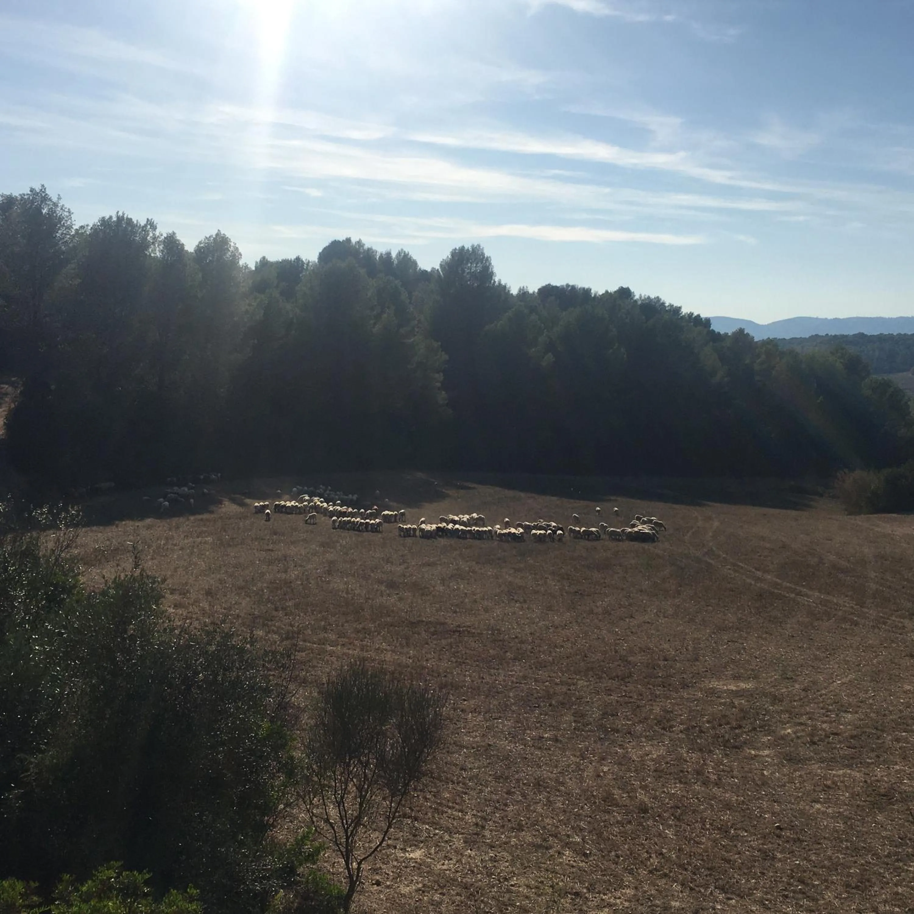 Natural landscape in Vi l'Art Wine Lodge - Only Adults