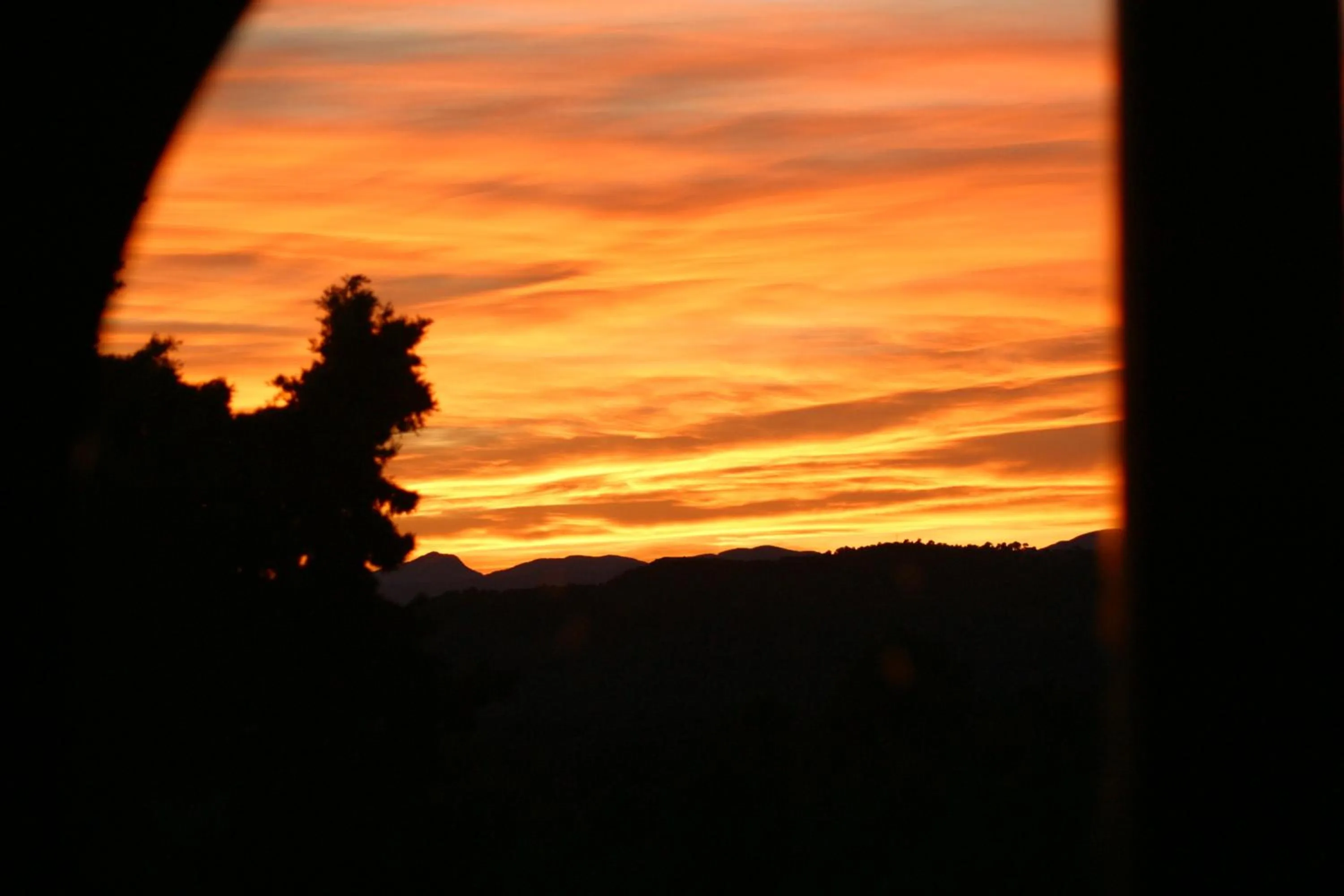 Garden view in Vi l'Art Wine Lodge - Only Adults