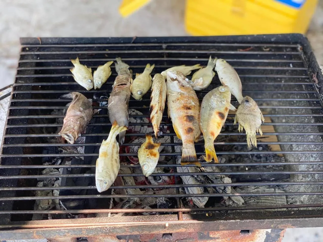 Romny cozy bay Resort