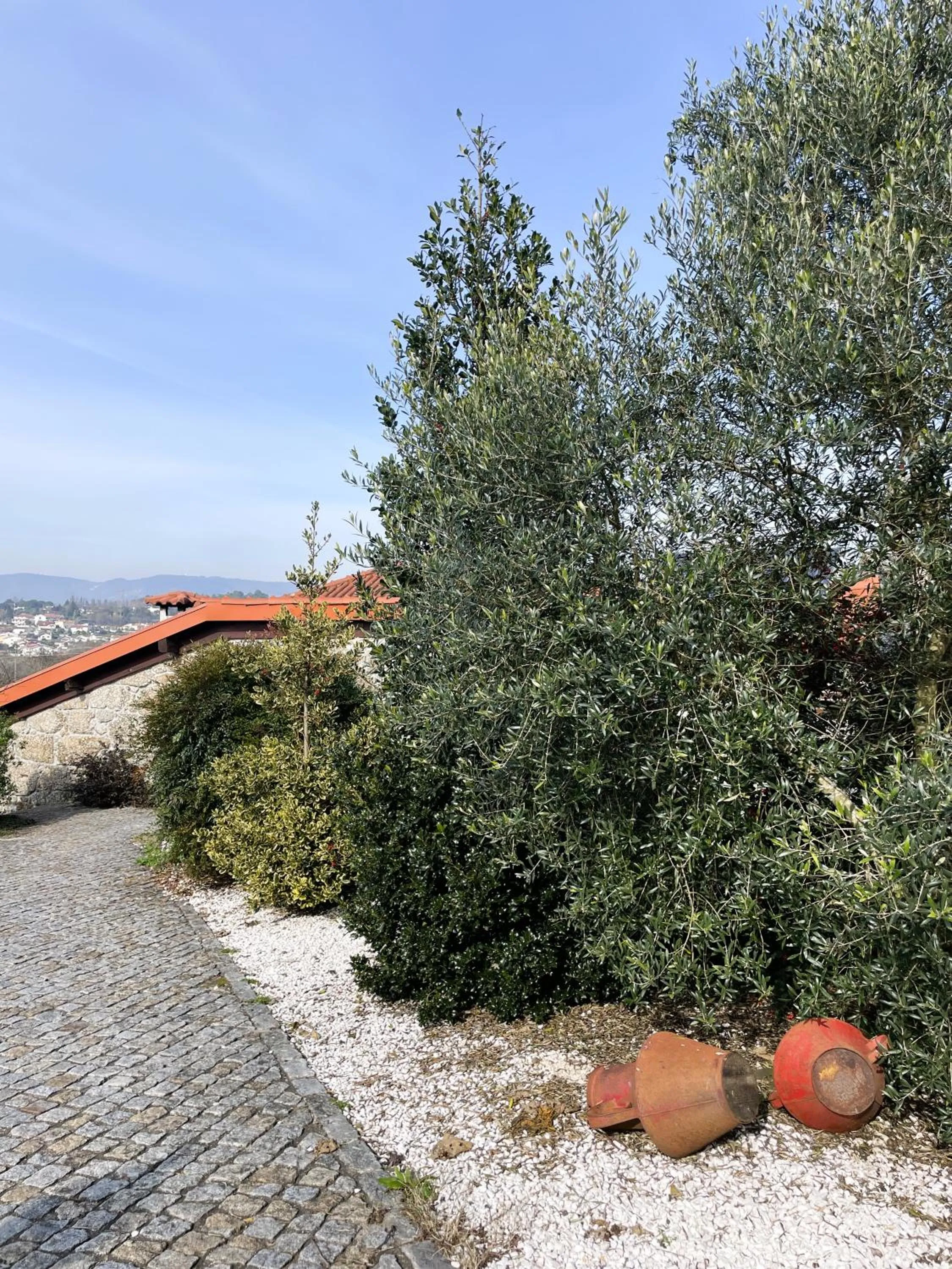 Property building in Hotel Quinta da Tulha By VimaHotels