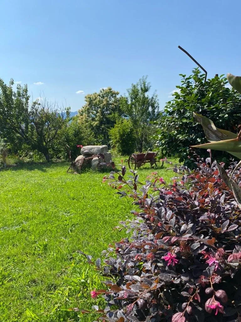 Property building in Hotel Quinta da Tulha By VimaHotels